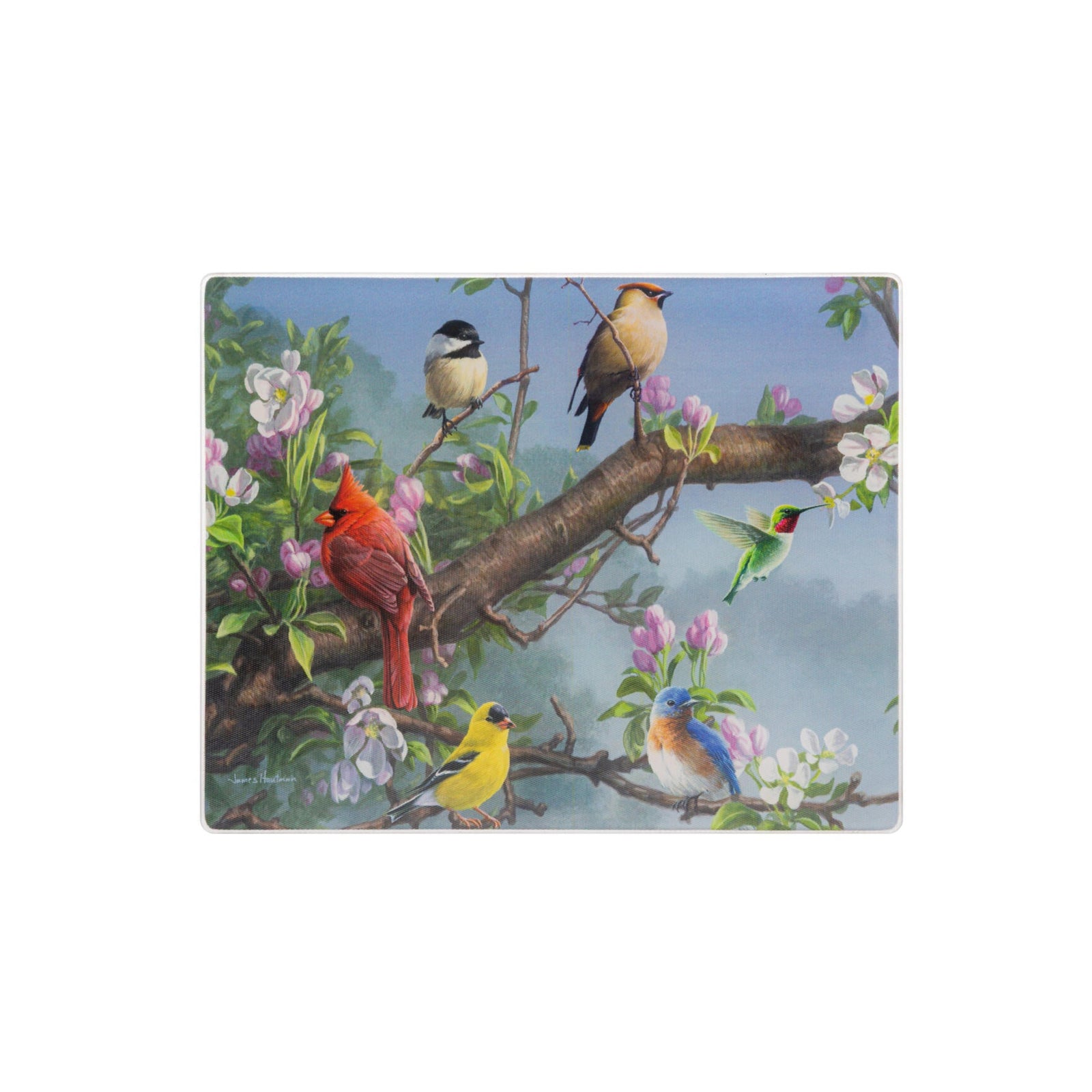 Glass cutting board with a colorful birds print on a branch with flowers in the background