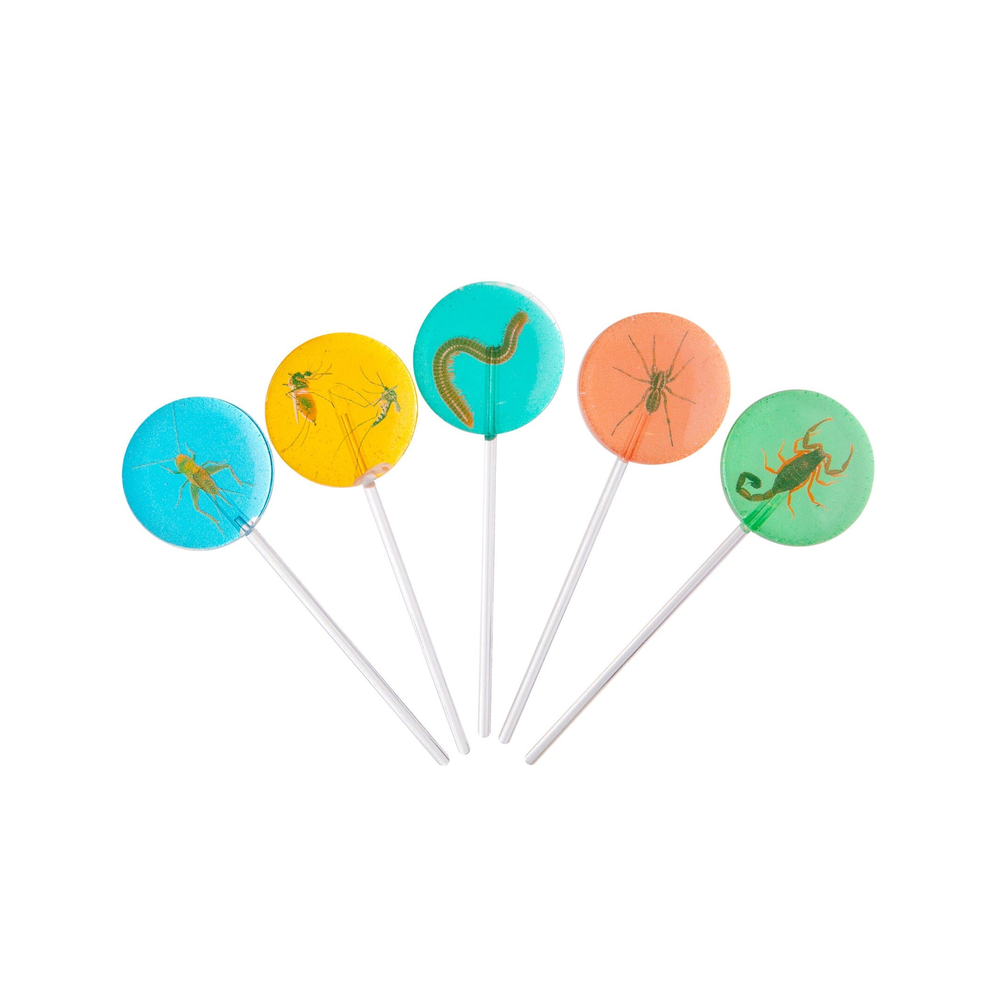 Five lollipops with colorful labels featuring illustrations of insects on a white background.