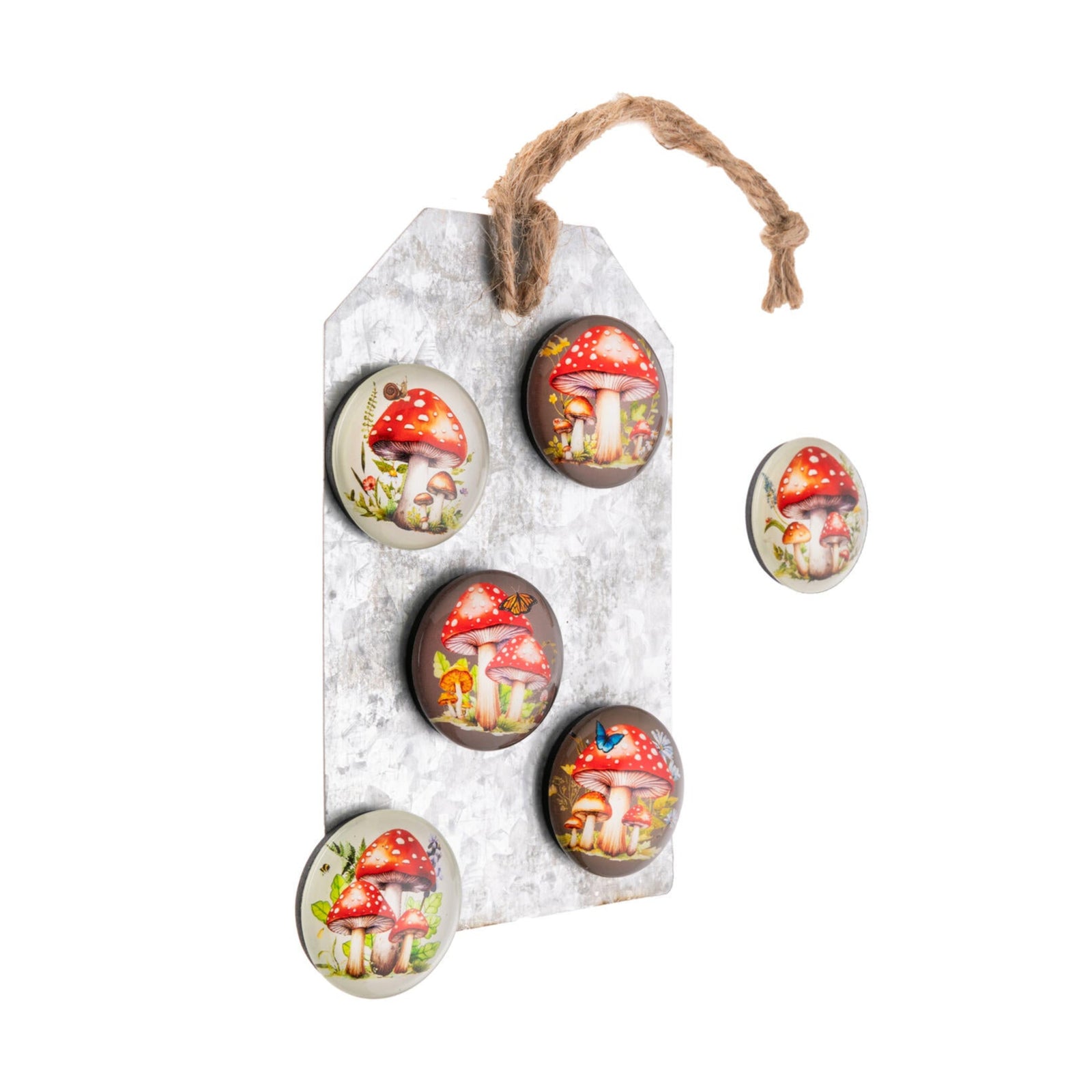 Six glass fridge magnets with a mushroom design on a metal backer card