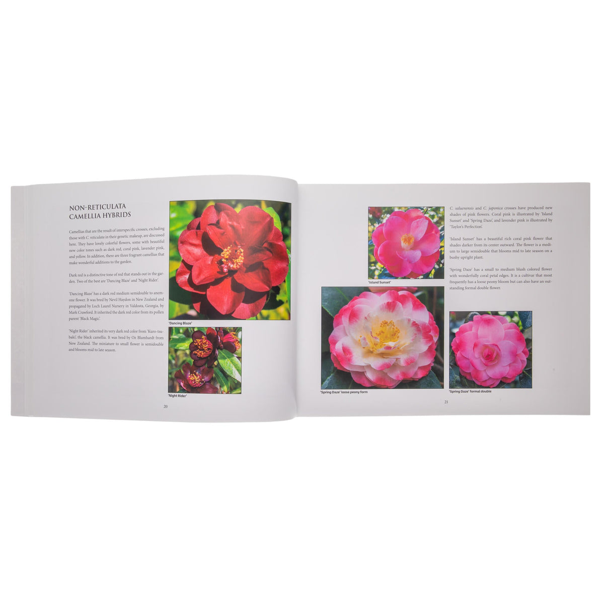 Open book showing pages with images of pink flowers and text on a white background