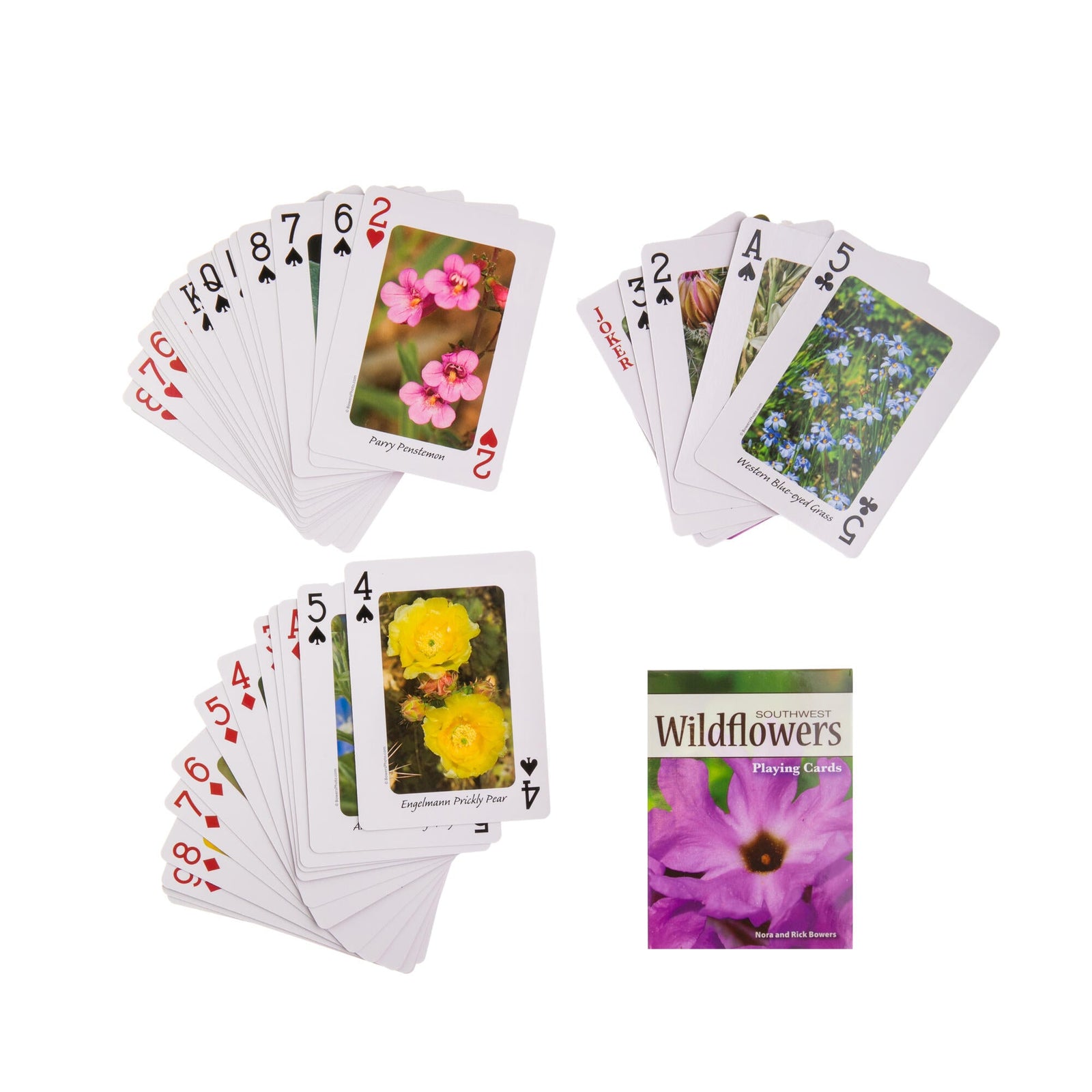 Playing cards with floral designs on a white background