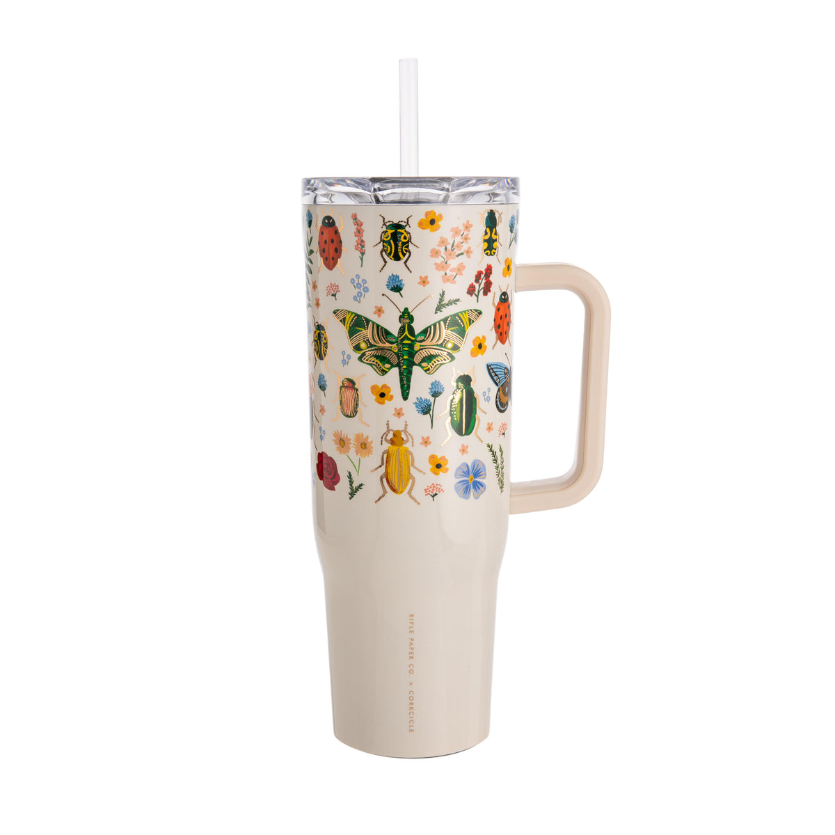 CURIO CRUISER CUP