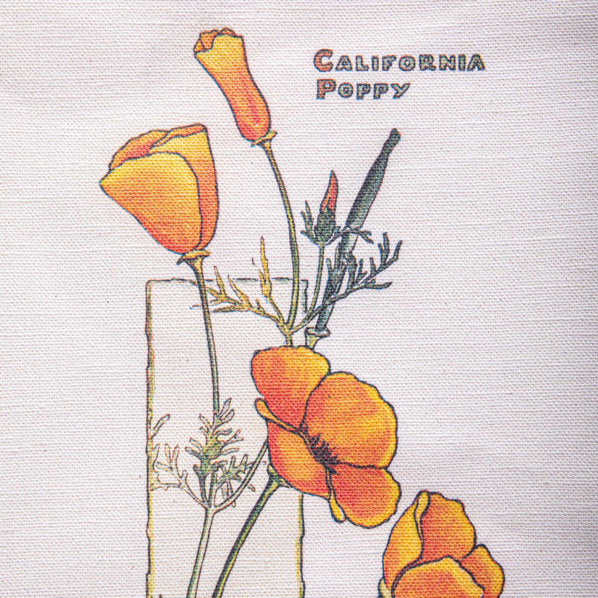 This premium quality, sturdy canvas tote features the vibrant artwork California Poppy (ca.1905) by artist Elisabeth M. Hallowell (American, 1861 - 1910). The original watercolor resides in the collections of The Huntington. The tote is constructed of heavyweight cotton canvas and has real leather straps that are riveted to the tote, making it both strong and stylish.