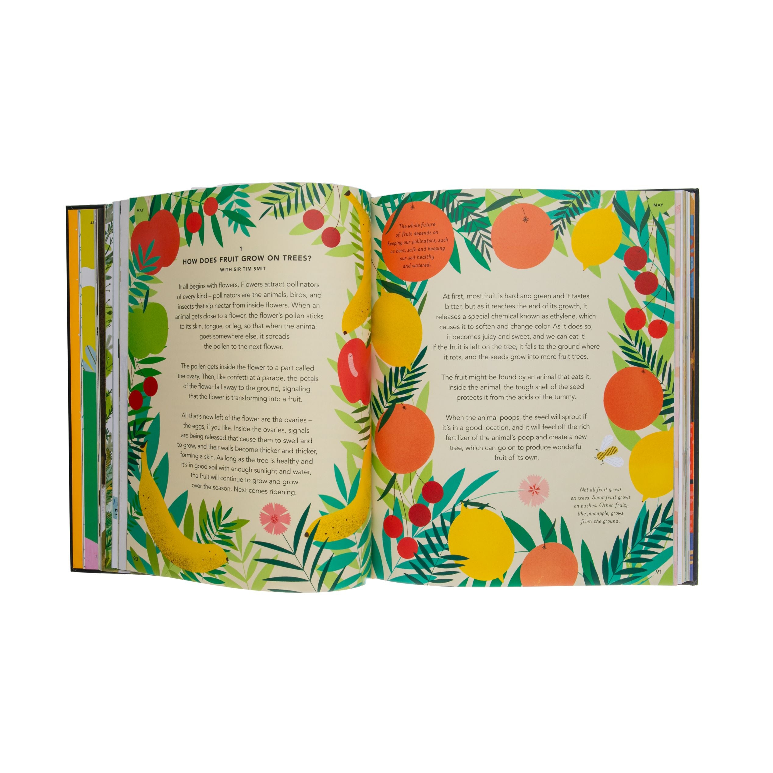 EVERYTHING UNDER THE SUN – The Huntington Store