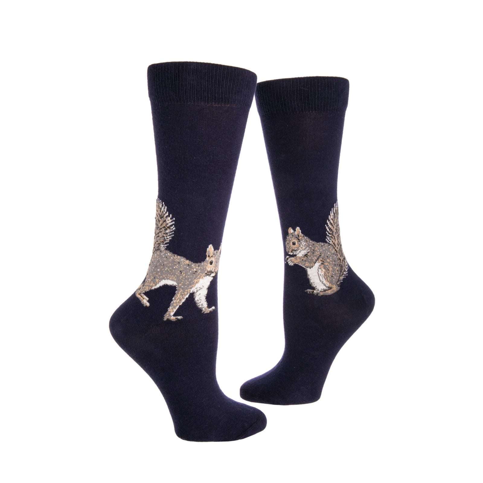 Navy socks with squirrel design on a white background