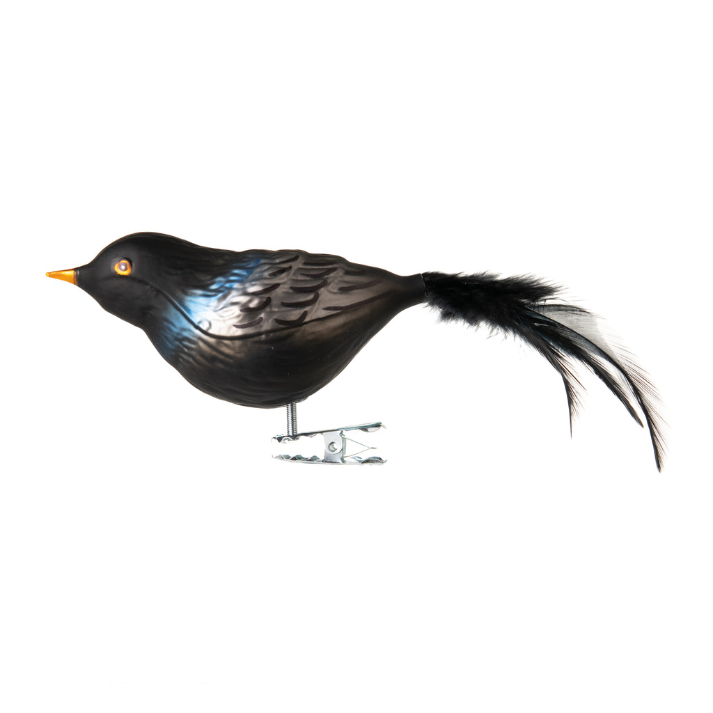 You'll never want to say 'bye-bye' to this pretty Blackbird. It is made from hand-blown glass in a traditional family-owned studio in Limbach, Germany.  Its tail is delicately trimmed with real feathers, and it has a highly detailed, hand-painted finish. Attaches with a strong clip. Dimensions approx. 5" long x 2" height.