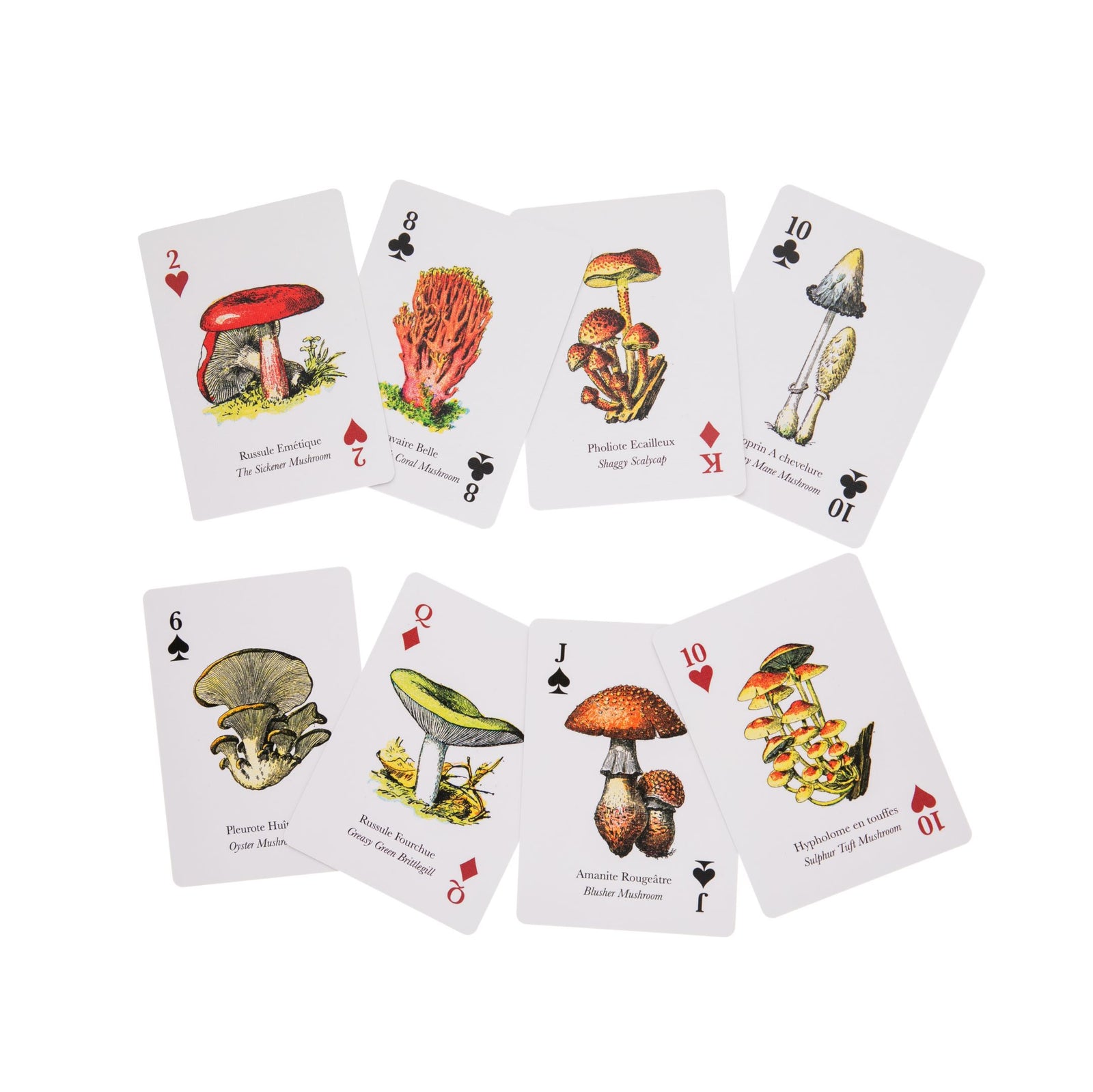Put more fun(gi) into your next card game with these mushroom-themed playing cards. This standard deck of playing cards features beautiful, vintage French illustrations of different mushrooms on each card. Pack of standard playing cards Full-color, vintage mushroom illustrations on both sides