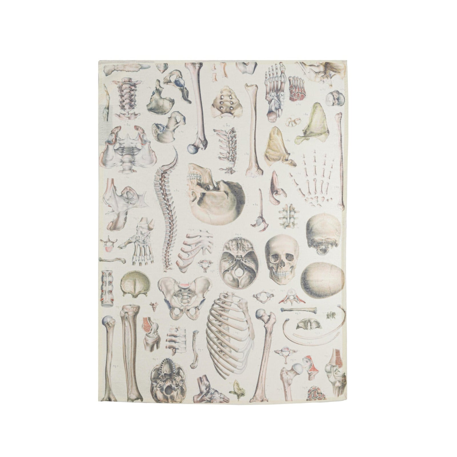 Tea towel with skeleton design on a white background