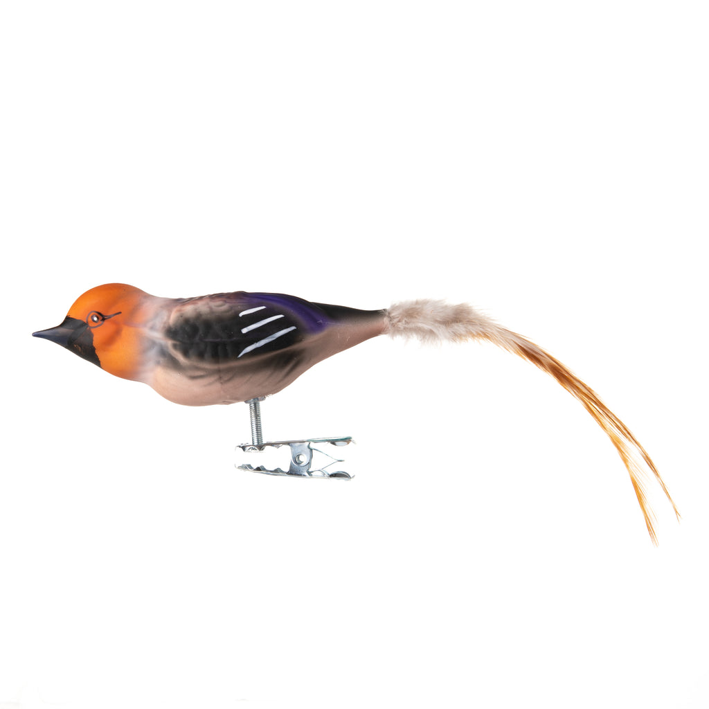 This holiday hawfinch is made from hand-blown glass in a family-owned studio. Its tail is made with real feathers and has a hand-painted finish.