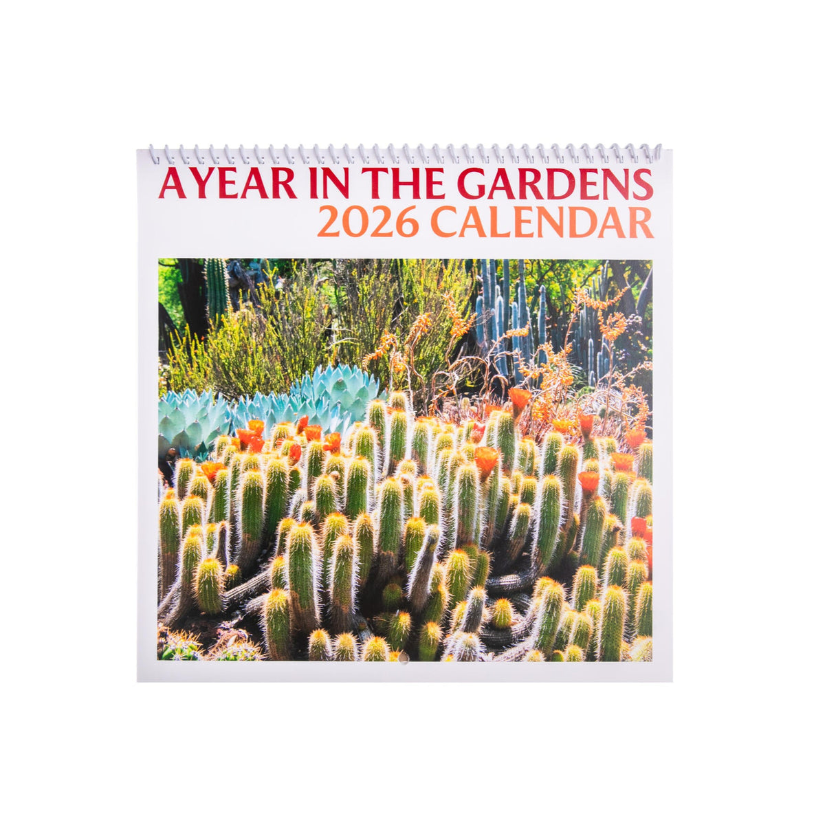 Calendar titled &#39;A Year in the Gardens 2026&#39; with cactus plants on a white background