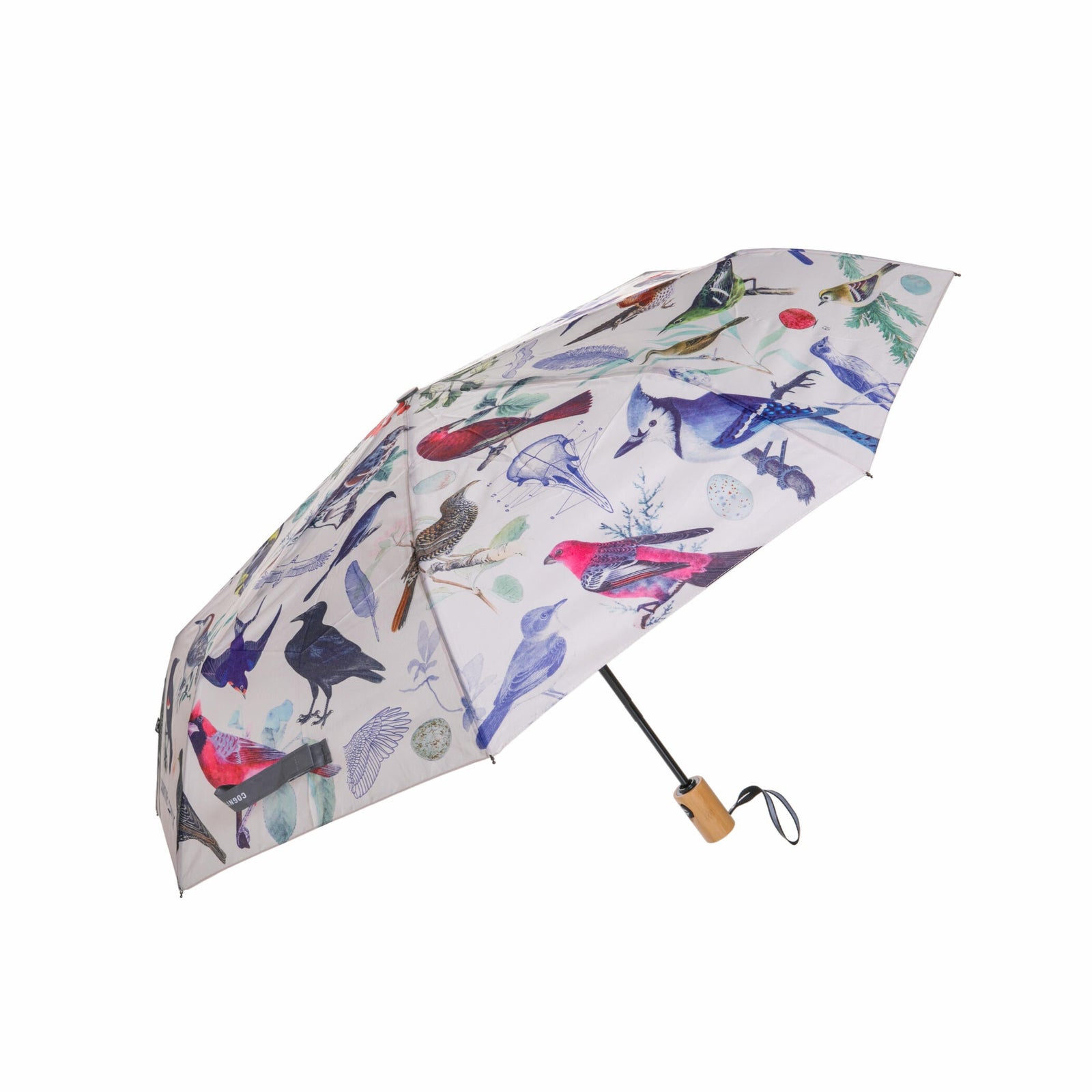 Colorful umbrella with bird pattern on a white background