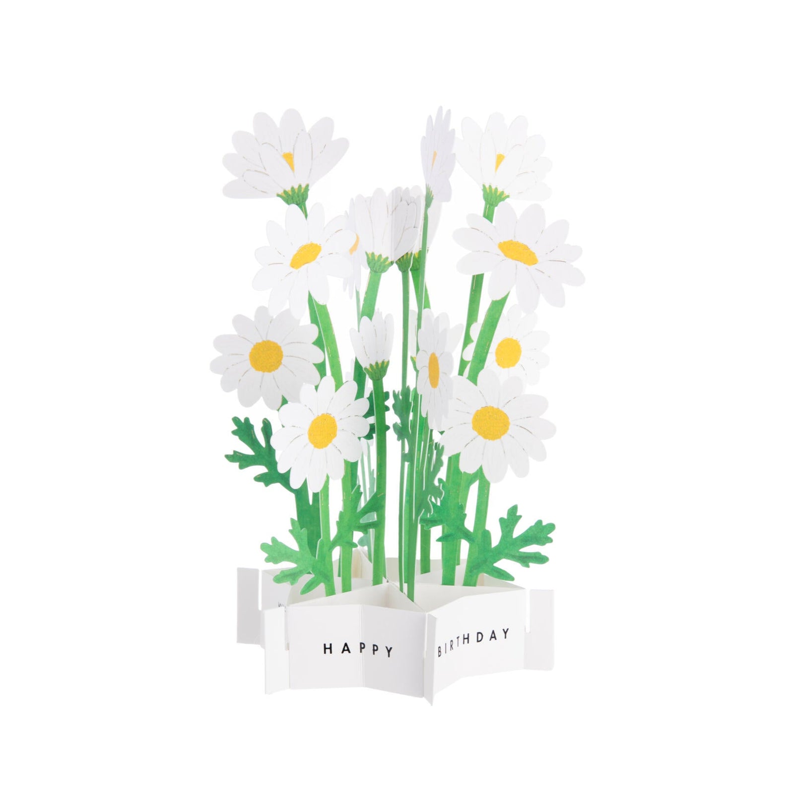 This delightful birthday card is not only a beautifully designed greeting card but can also be used as an everlasting flower centerpiece, year-round. Featuring pretty Marguerite daisies, the card folds out to a three-dimensional bouquet with ‘Happy Birthday’ on the base. There is a gift tag included so that you can easily add your own message. Pop-up birthday card Dimensions when open: 7.5" x 4.5"