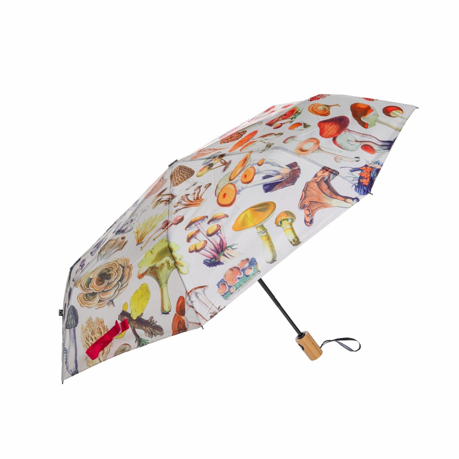 Umbrella with a colorful mushroom pattern on a white background