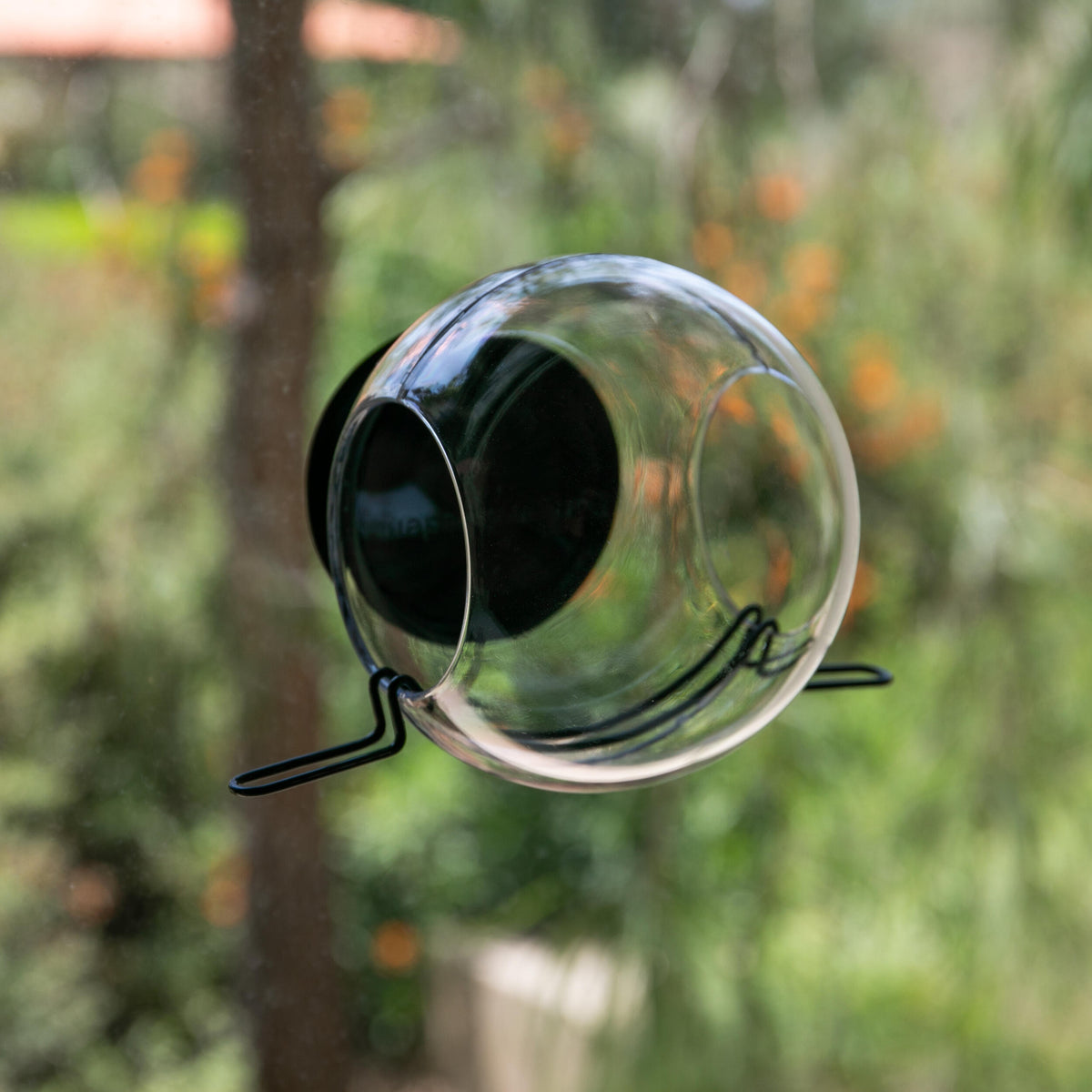 WINDOW GLOBE BIRD FEEDER