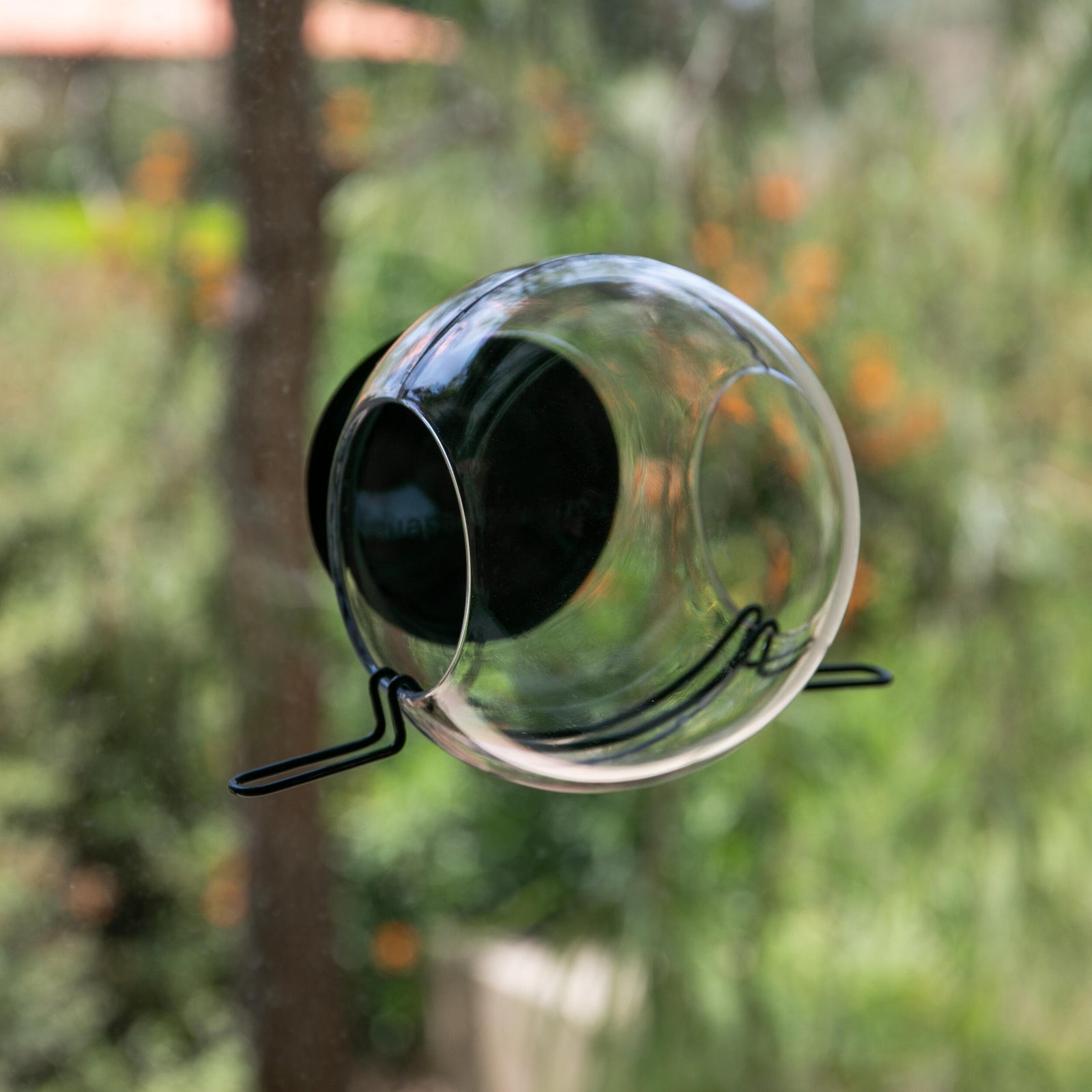 Box for a birdfeeder with illustrations and text on a white background