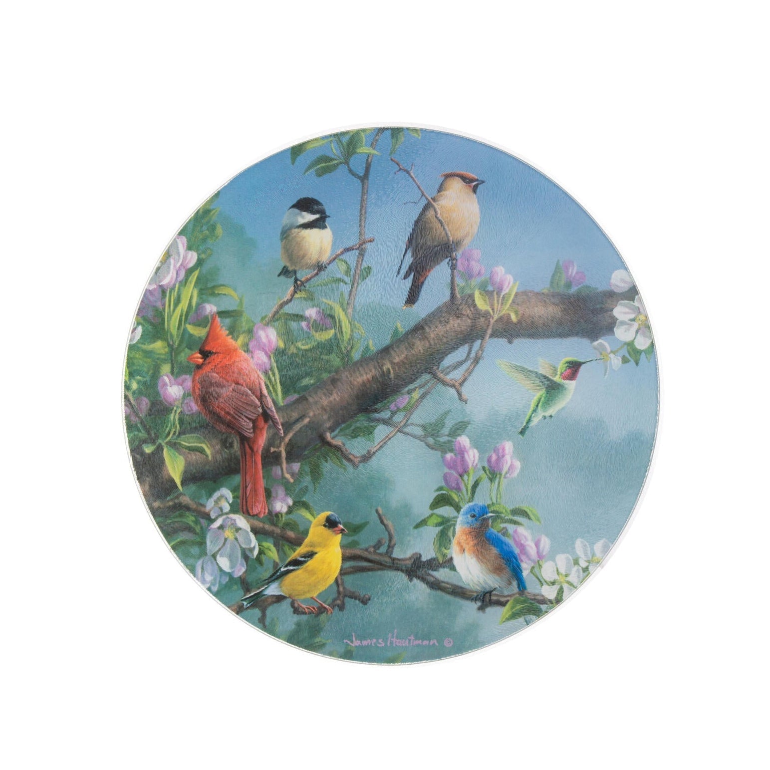 Round glass lazy Susan with colorful birds on a branch design