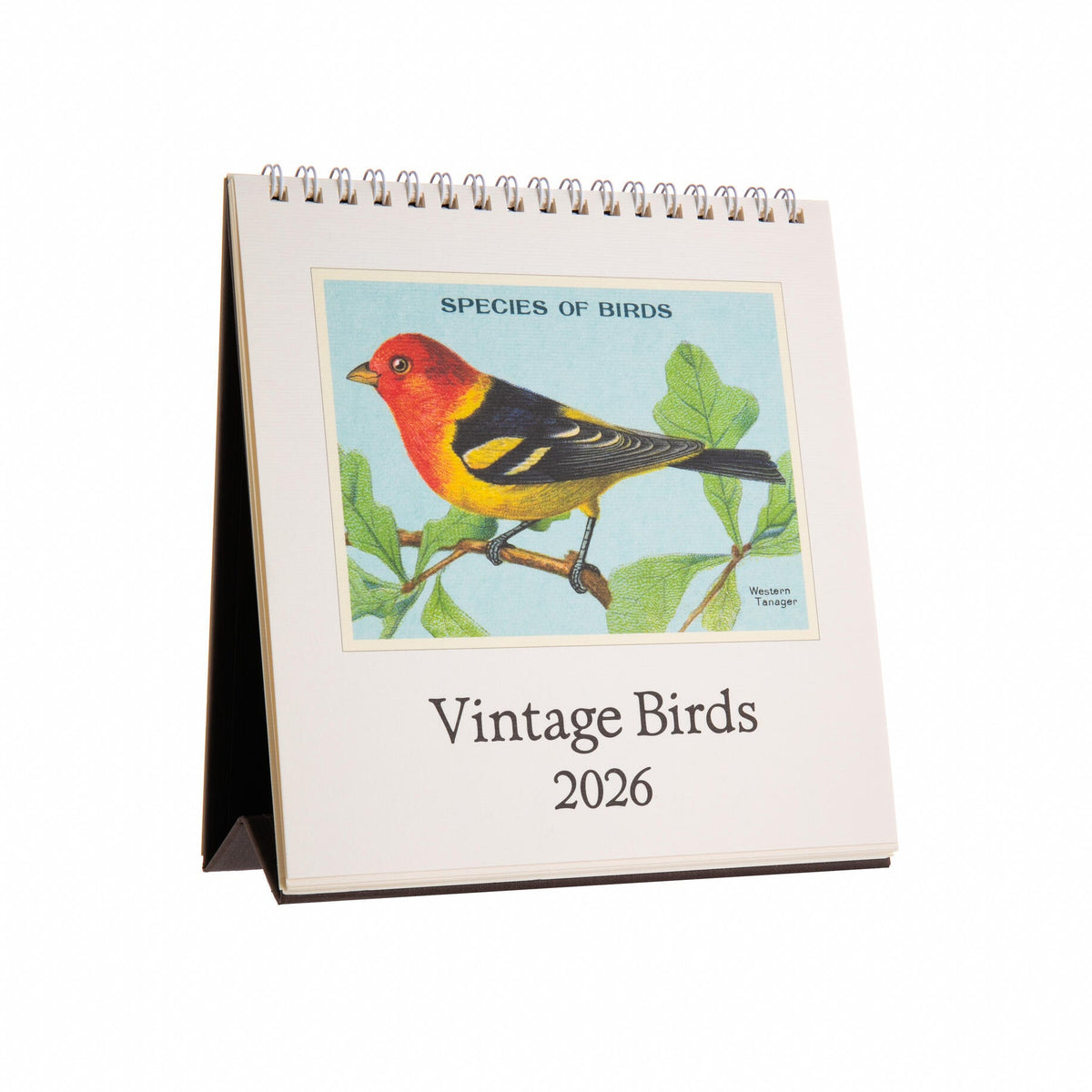 Vintage Birds 2026 calendar with a bird illustration on a white background