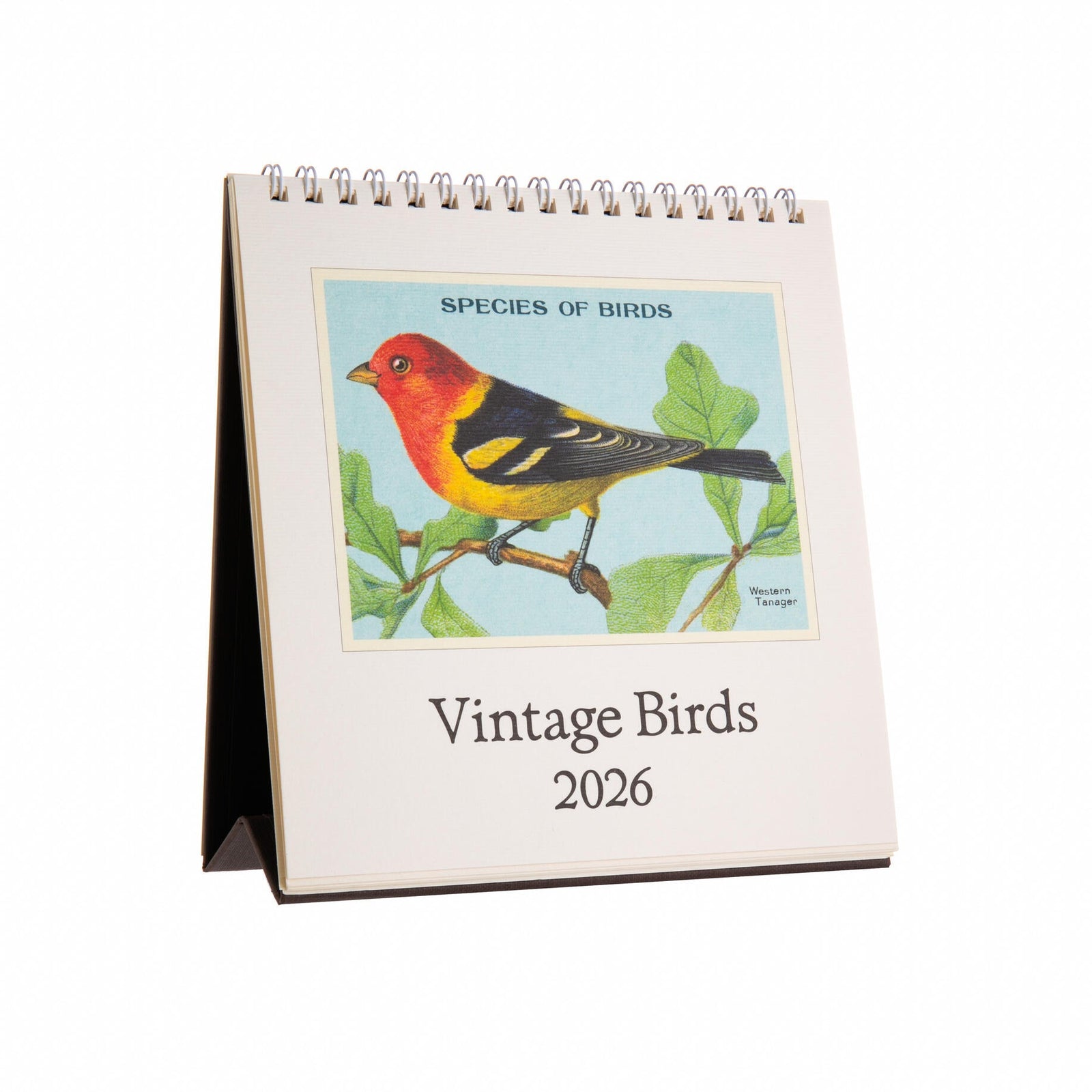 Vintage Birds 2026 calendar with a bird illustration on a white background