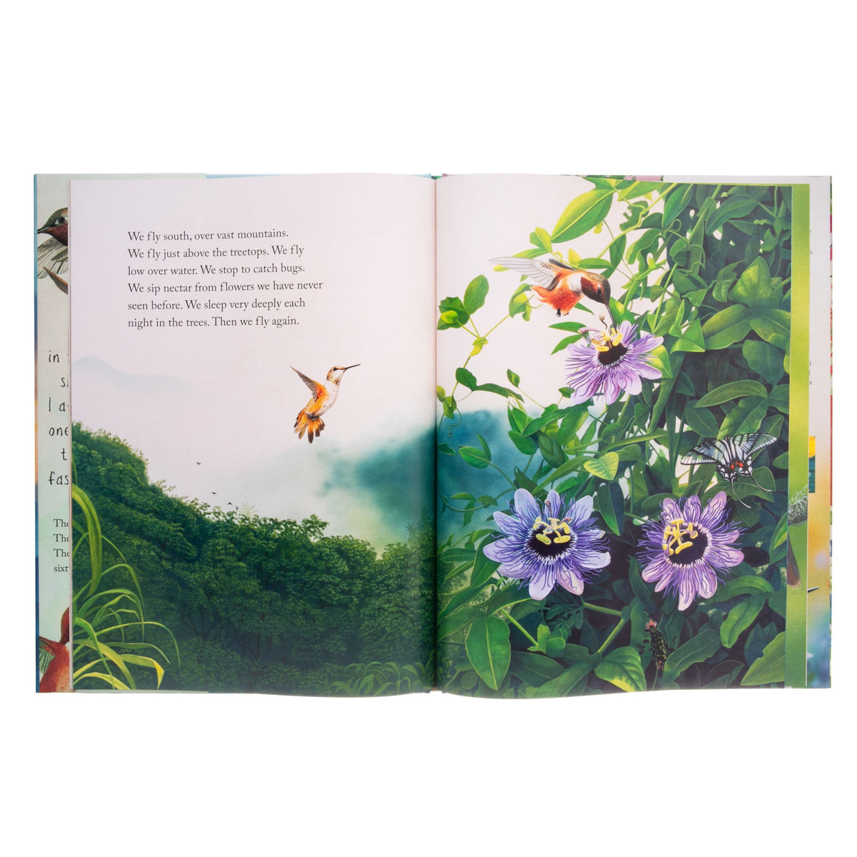 Open book with illustrations of flowers and birds on a white background