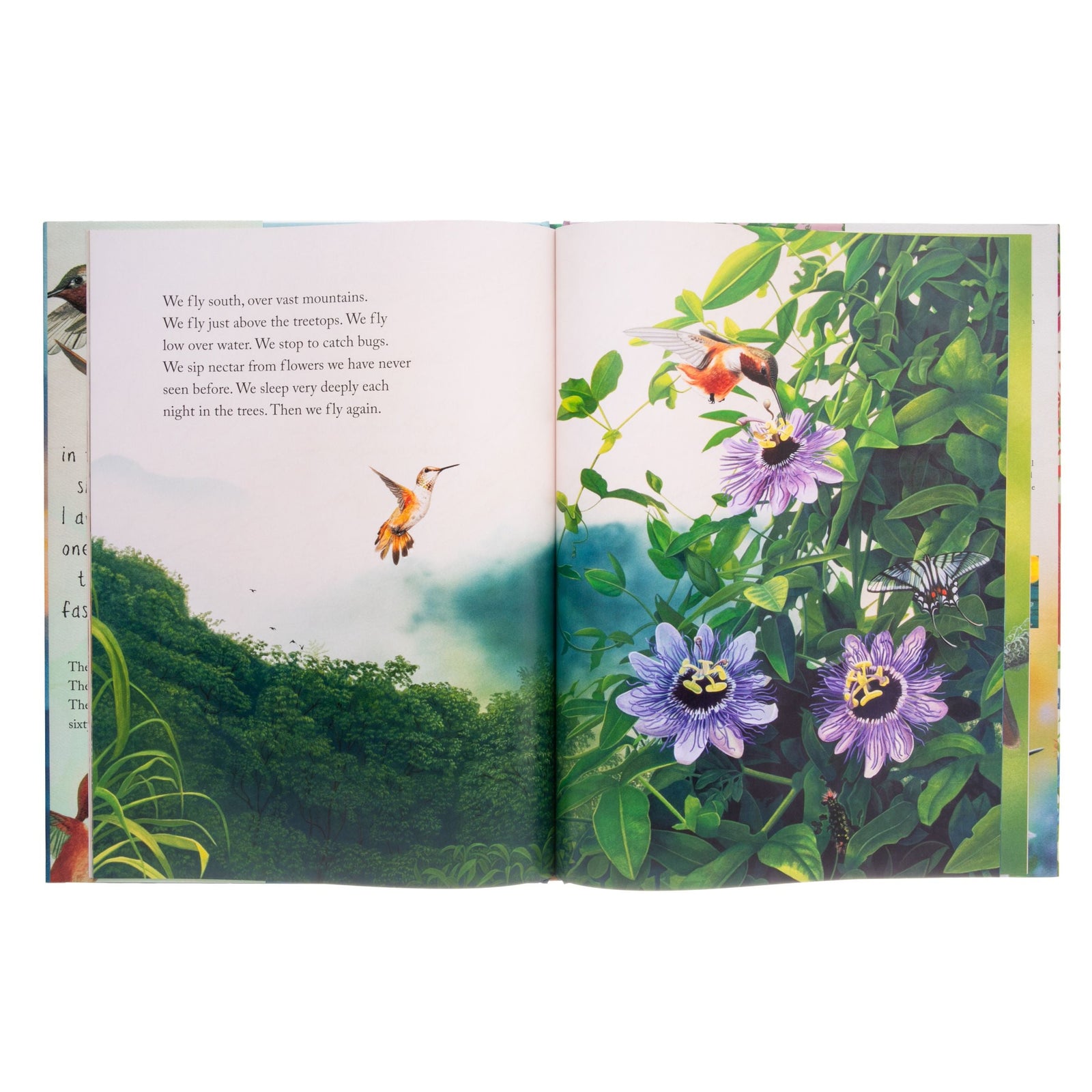 Book titled 'Brave Baby Hummingbird' with a hummingbird illustration on the cover.