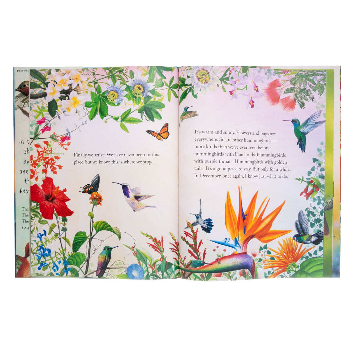 Open book with colorful illustrations of birds and flowers on a white background