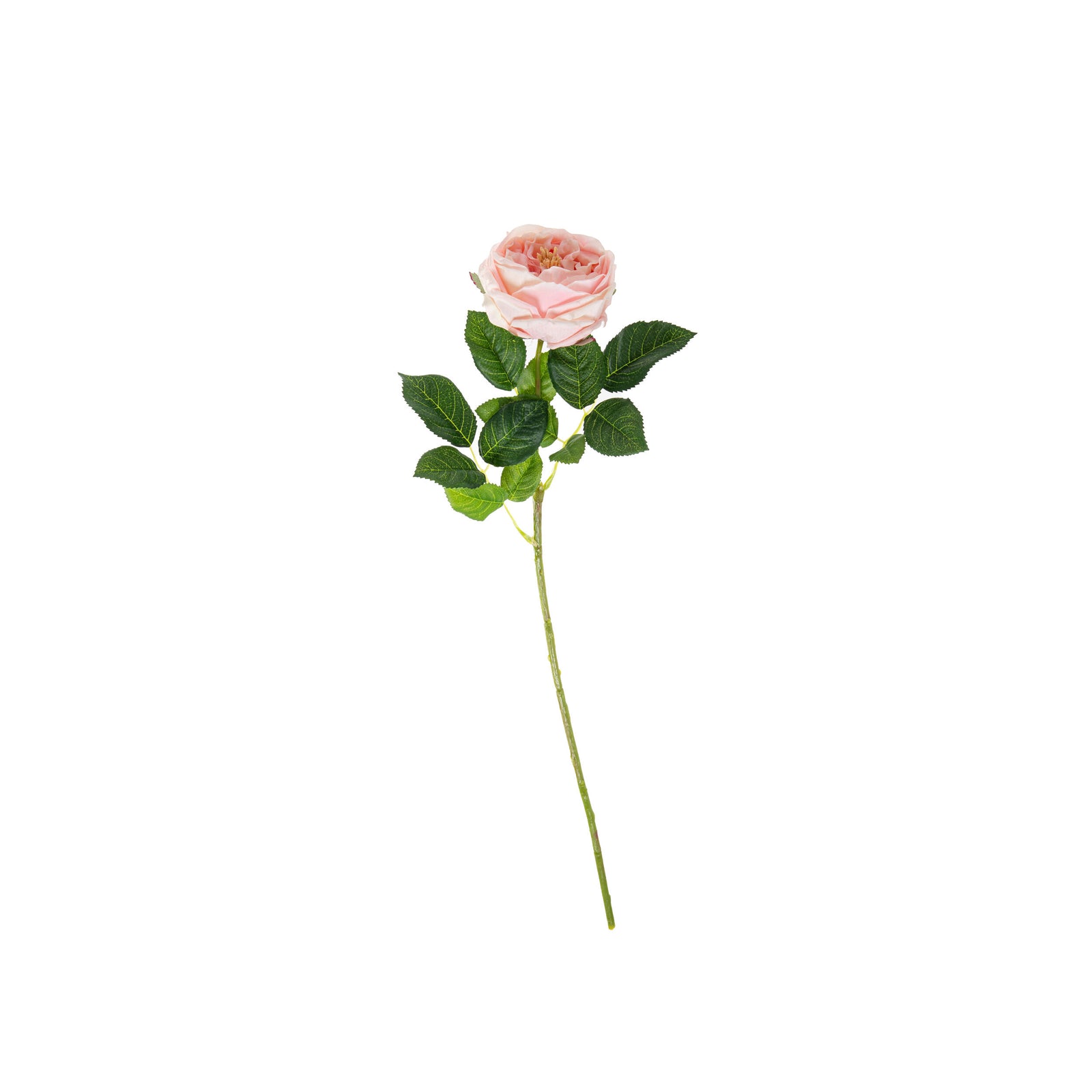 Enhance your floral designs with these lifelike faux flowers. These botanically realistic roses are crafted with exquisite attention to detail, making them a luxurious imitation of natural blooms. The material provides a silky smooth texture and appearance, allowing you to enjoy the beauty of roses without the maintenance or prickly thorns.