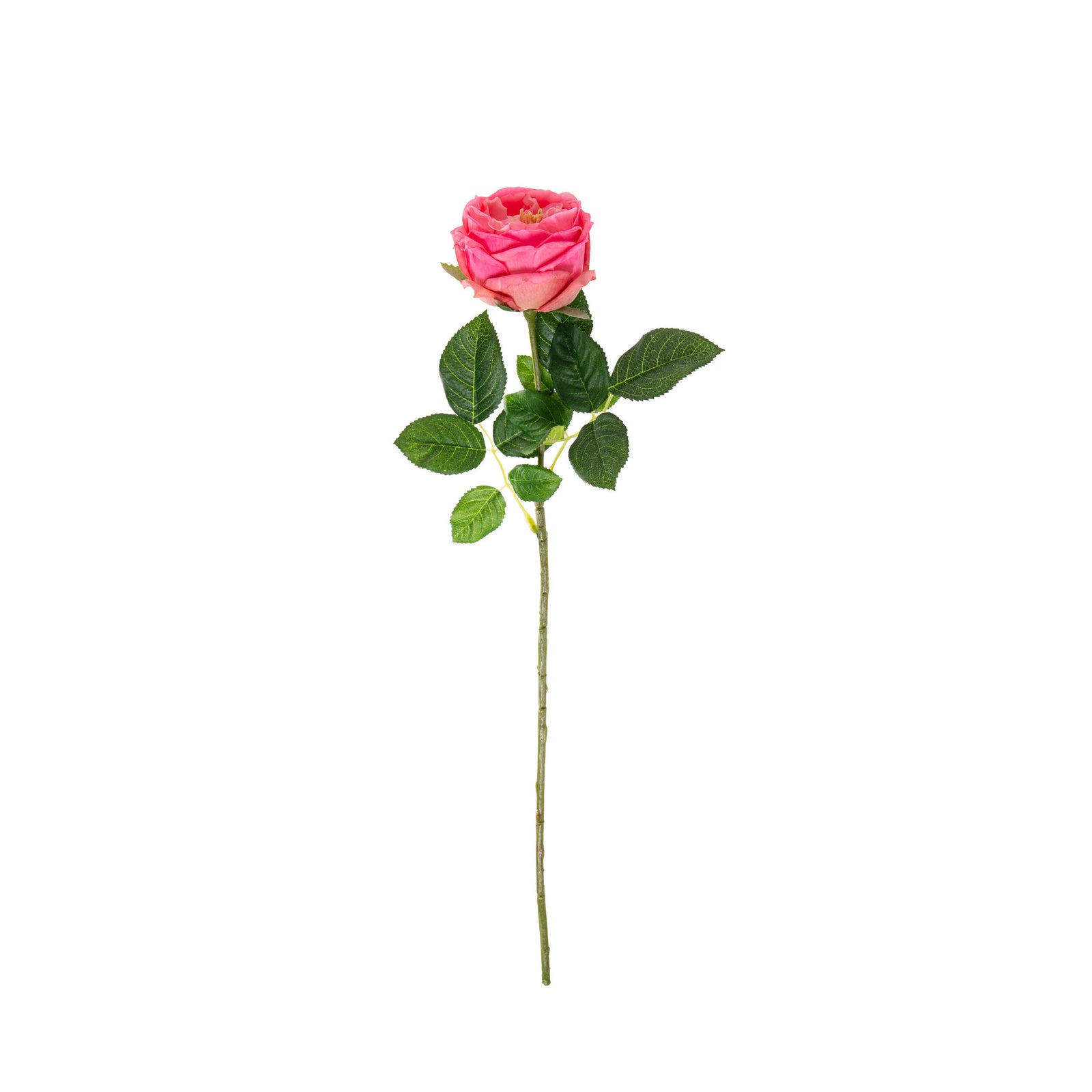 Enhance your floral designs with these lifelike faux flowers. These botanically realistic roses are crafted with exquisite attention to detail, making them a luxurious imitation of natural blooms. The material provides a silky smooth texture and appearance, allowing you to enjoy the beauty of roses without the maintenance or prickly thorns.