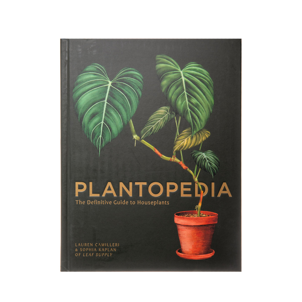 PLANTOPEDIA - THE DEFINITIVE GUIDE TO HOUSEPLANTS