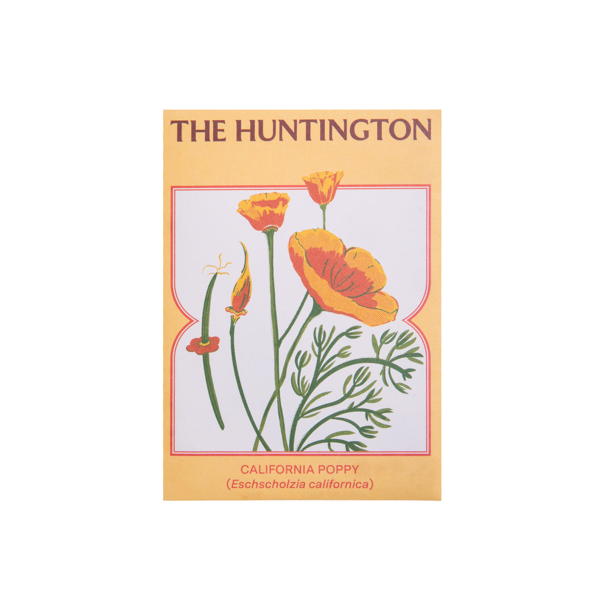 Seed packet with illustration of California poppies and &#39;The Huntington&#39; branding on a white background