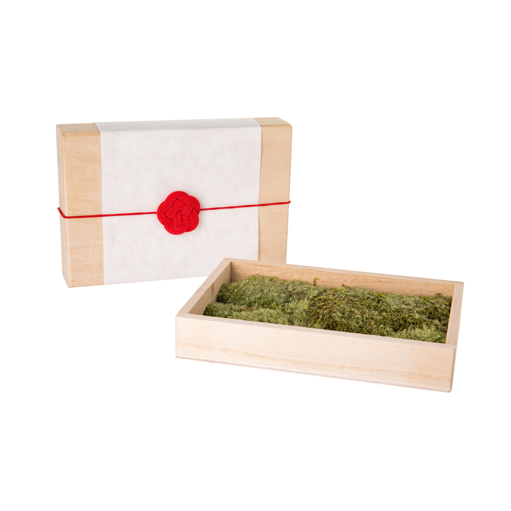 A natural, and unique gift! FUJIGOKE uses special moss, sustainably grown at a moss-farm at the foot of, Mt.Fuji, Japan. The moss is preserved by being freeze-dried and is then packaged in a traditional wooden box. This high-quality moss is also used in temples and gardens in Japan. Box dimensions: 6" x 4" x 1".