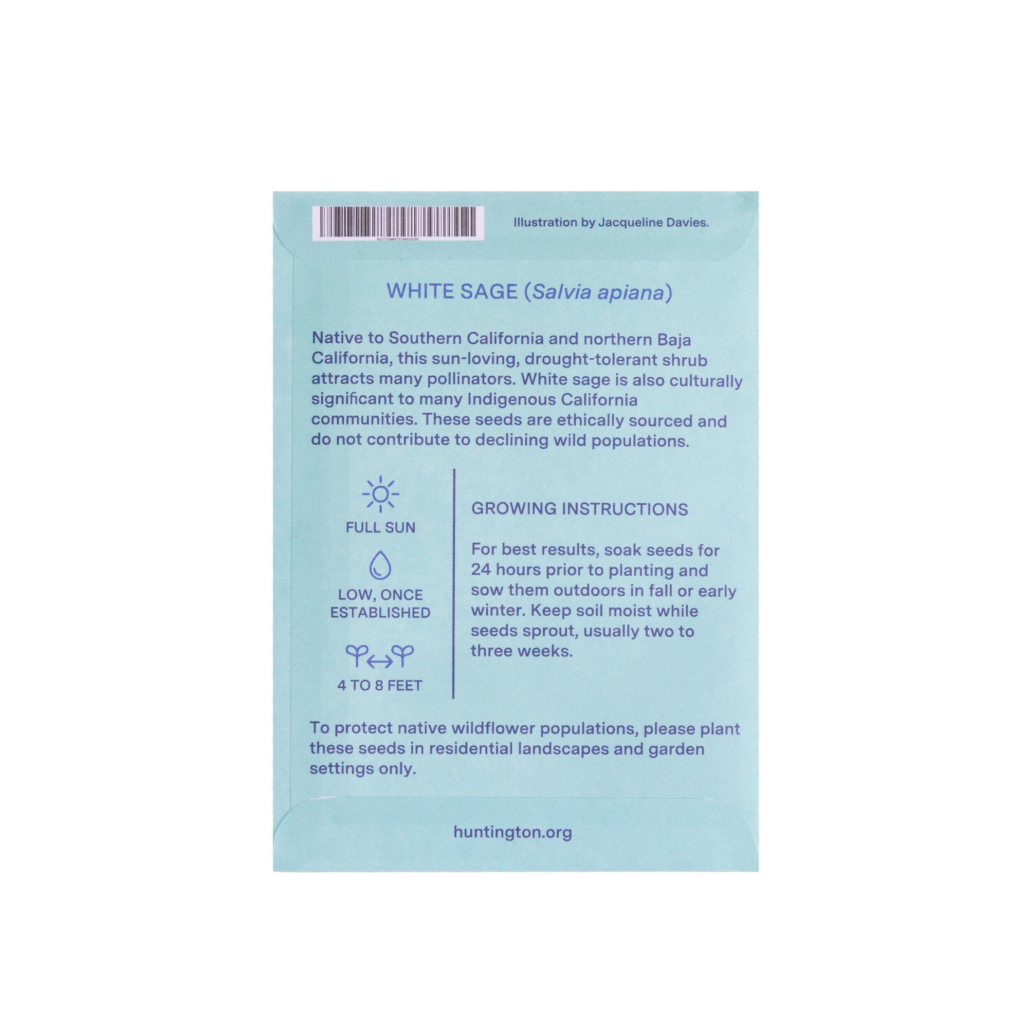 Seed packet with illustration of white sage and 'The Huntington' branding on a light blue background.