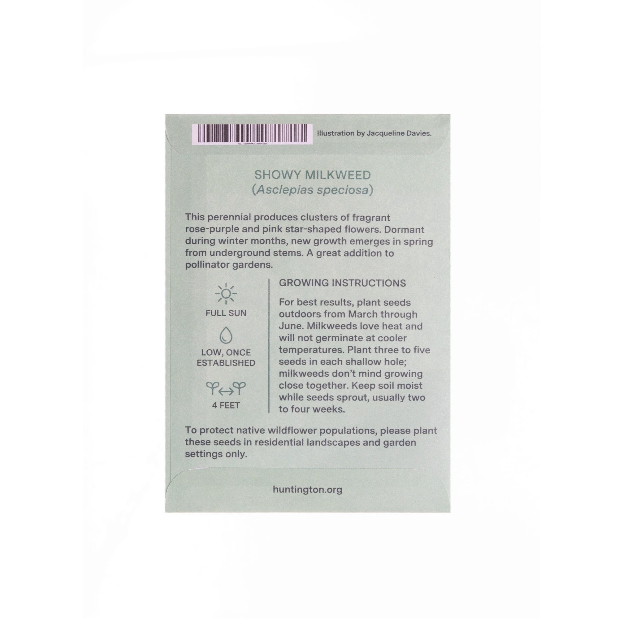 Seed packet with illustration of Showy Milkweed and 'The Huntington' branding on a green background