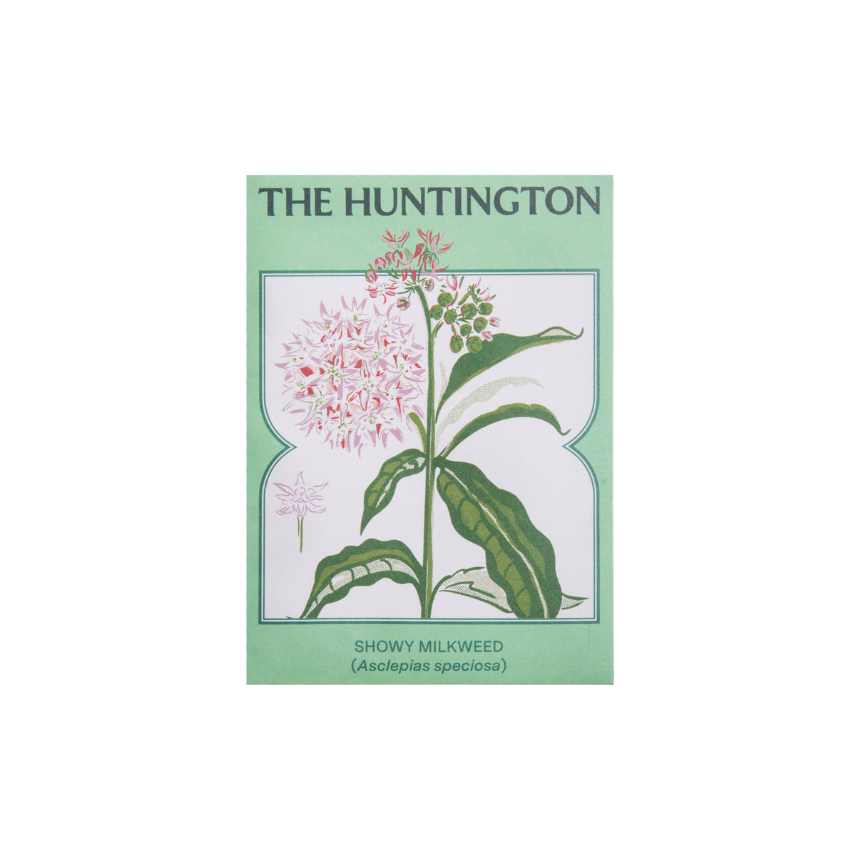 Seed packet with illustration of Showy Milkweed and &#39;The Huntington&#39; branding on a green background