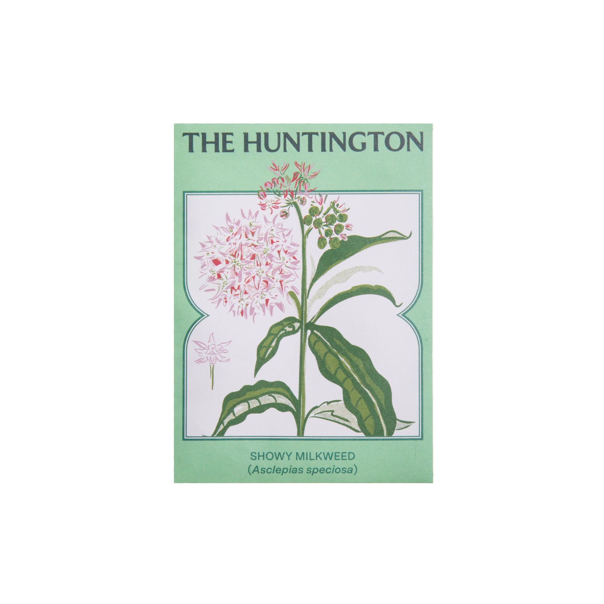 Seed packet with illustration of Showy Milkweed and 'The Huntington' branding on a green background