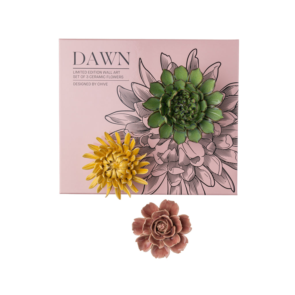 This absolutely stunning set of three ceramic flowers makes the perfect addition to your home decor. In green, yellow, and pink, the flowers have a glaze finish and look utterly realistic. Contains 3 ceramic flowers. Dimensions: 3.2" - 4.5" Diameter range of flowers Keyhole on back for hanging.