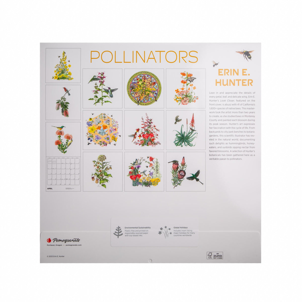 2026 'Pollinators' wall calendar with art by Erin E. Hunter with illustrations of flowers and pollinators on a white background.