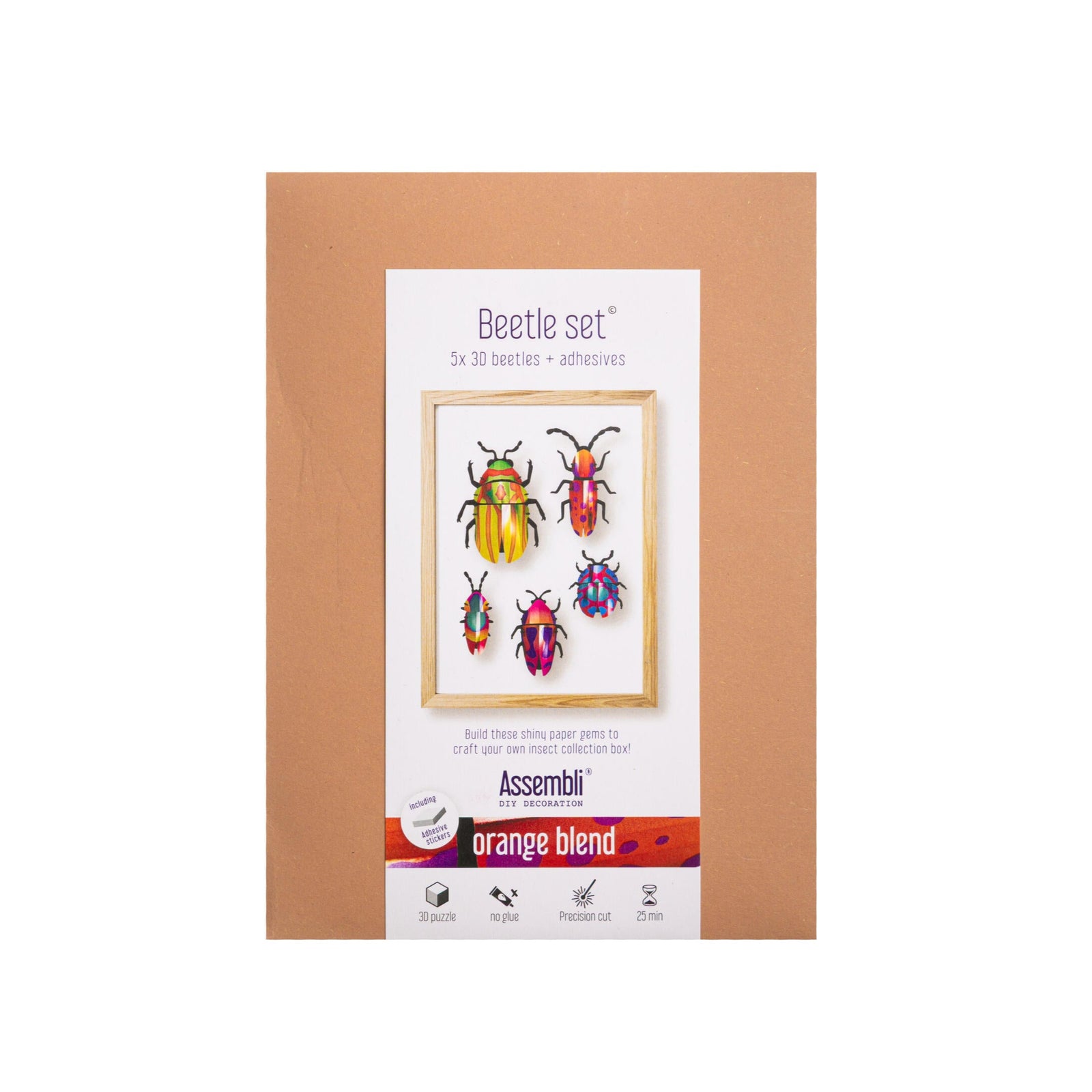 Packaging of a beetle set with colorful beetles on a white background