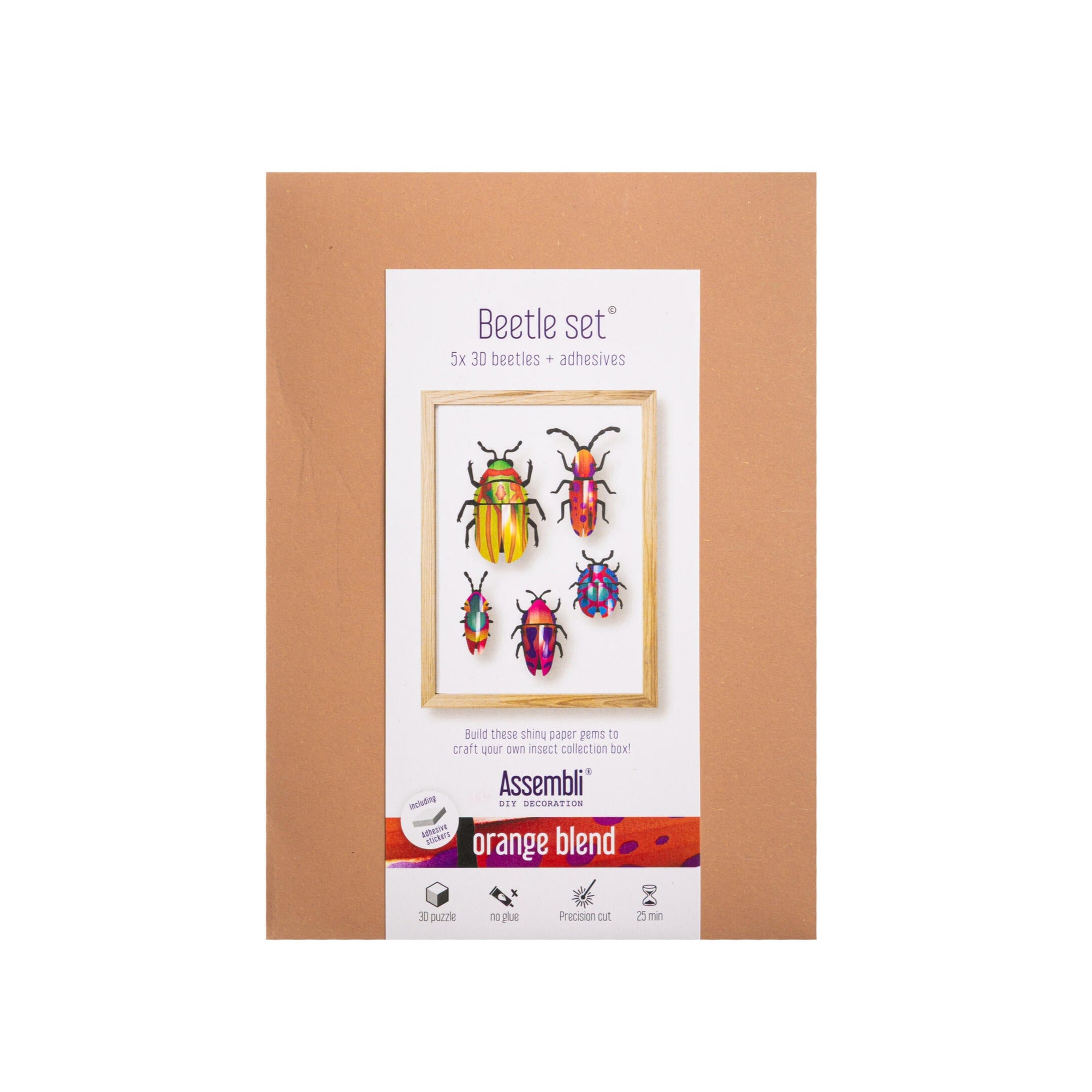 Packaging of a beetle set with colorful beetles on a white background