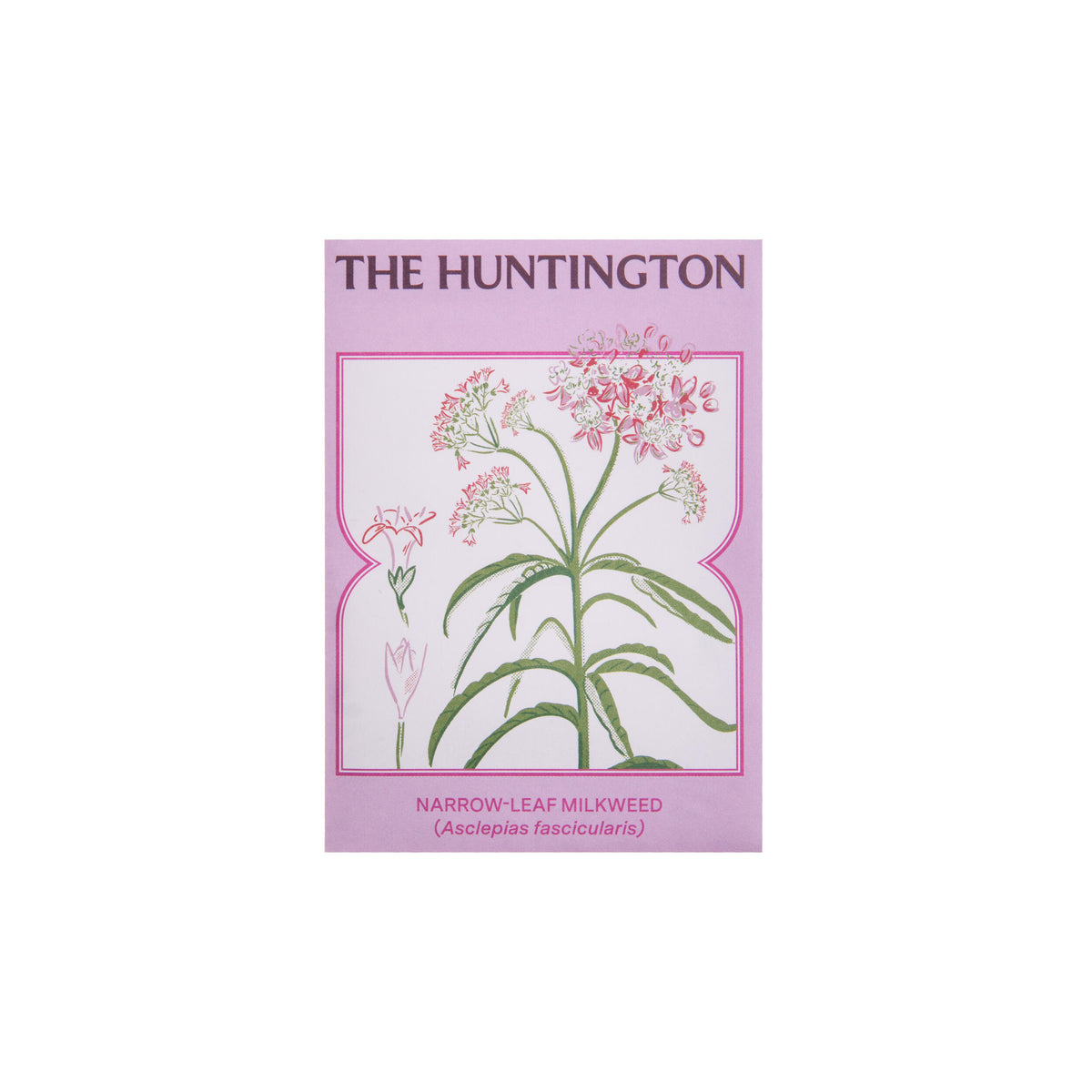 THE HUNTINGTON NARROW LEAF MILKWEED SEED PACKET