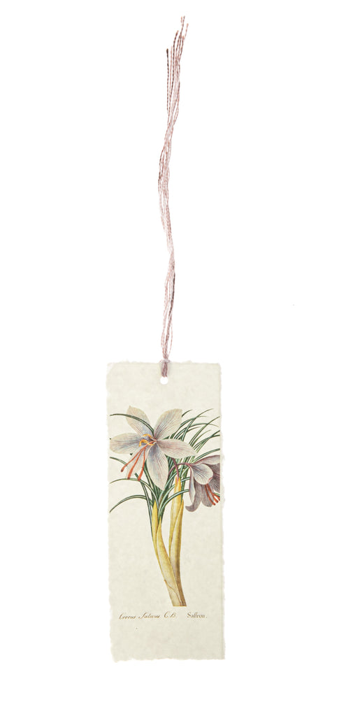 This handmade parchment paper bookmark features a vintage botanical sketch, drawn by Mary Parker, Countess of Macclesfield ca.1790, England. This lavender, lilac and purple bloom, is featured in the Huntington Rose Garden Tea Room, the original of which resides in The Huntington's Art Collections. 6.5" x 2.5".