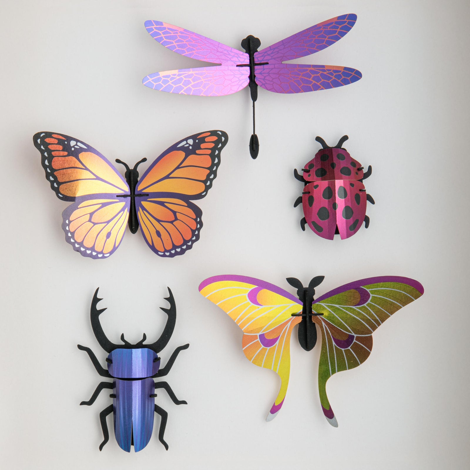 Packaging of a beetle set with illustrations on a white background