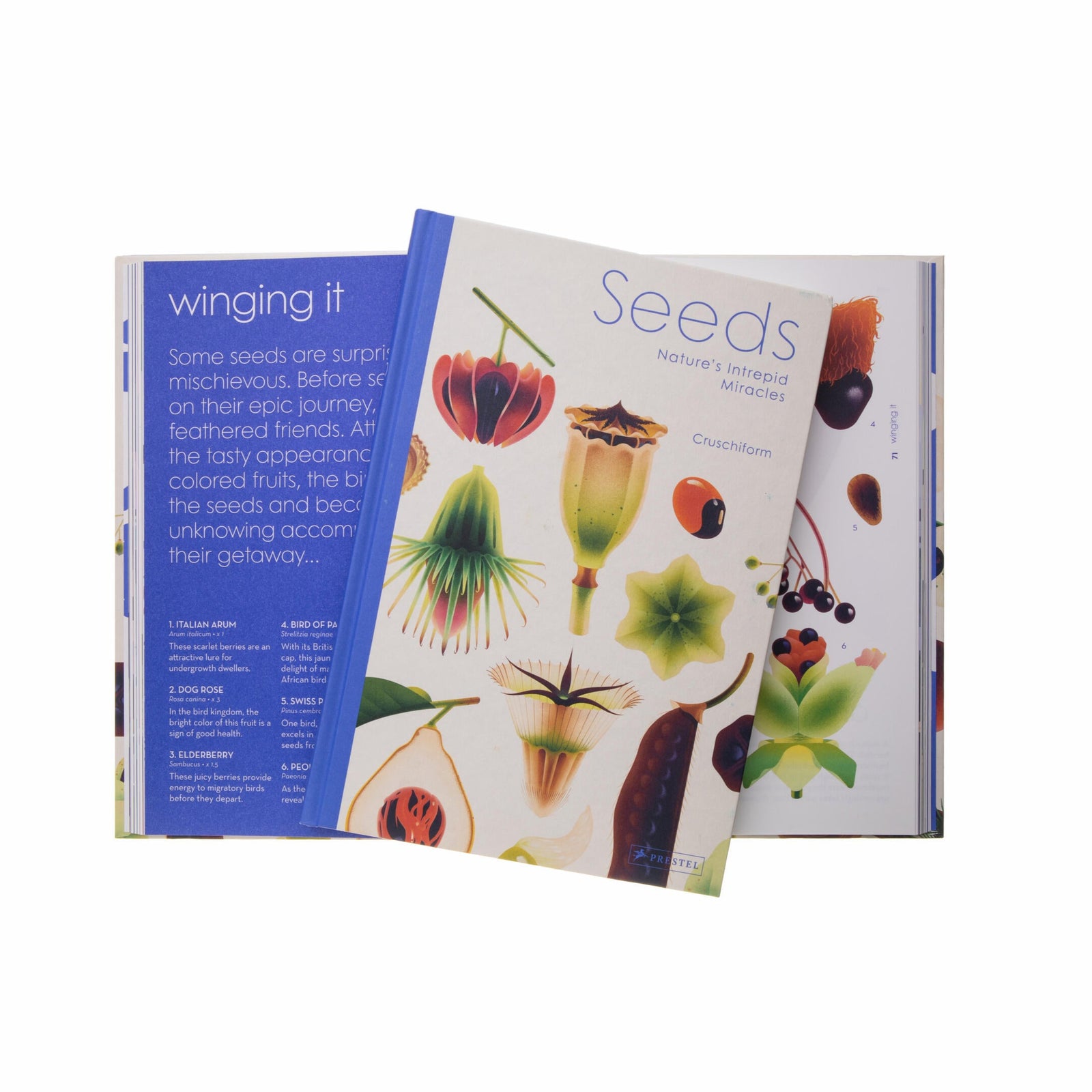 Open book with illustrations of seeds and text on a white background