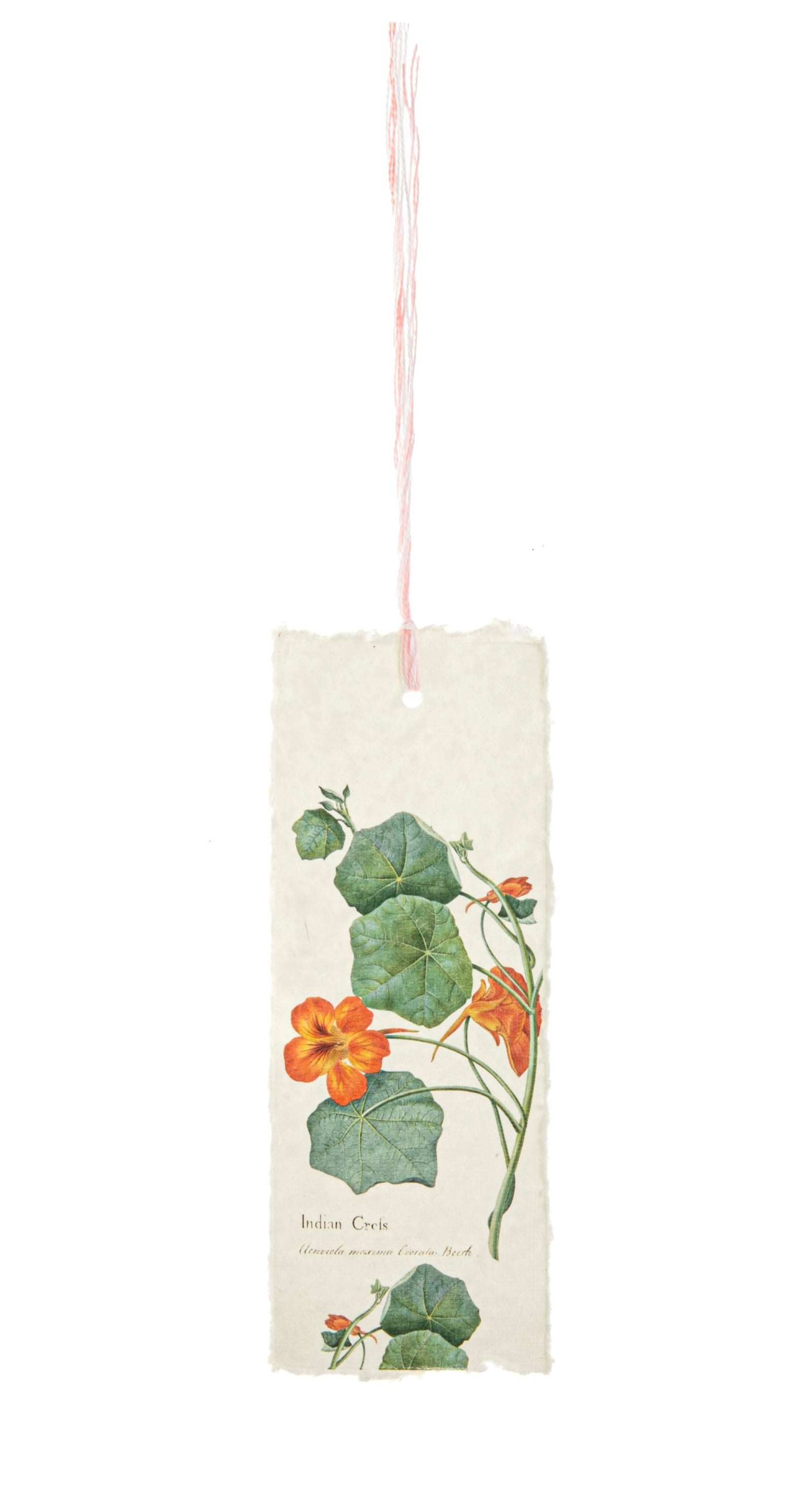 Handmade parchment paper bookmark featuring a vintage botanical sketch of a flower