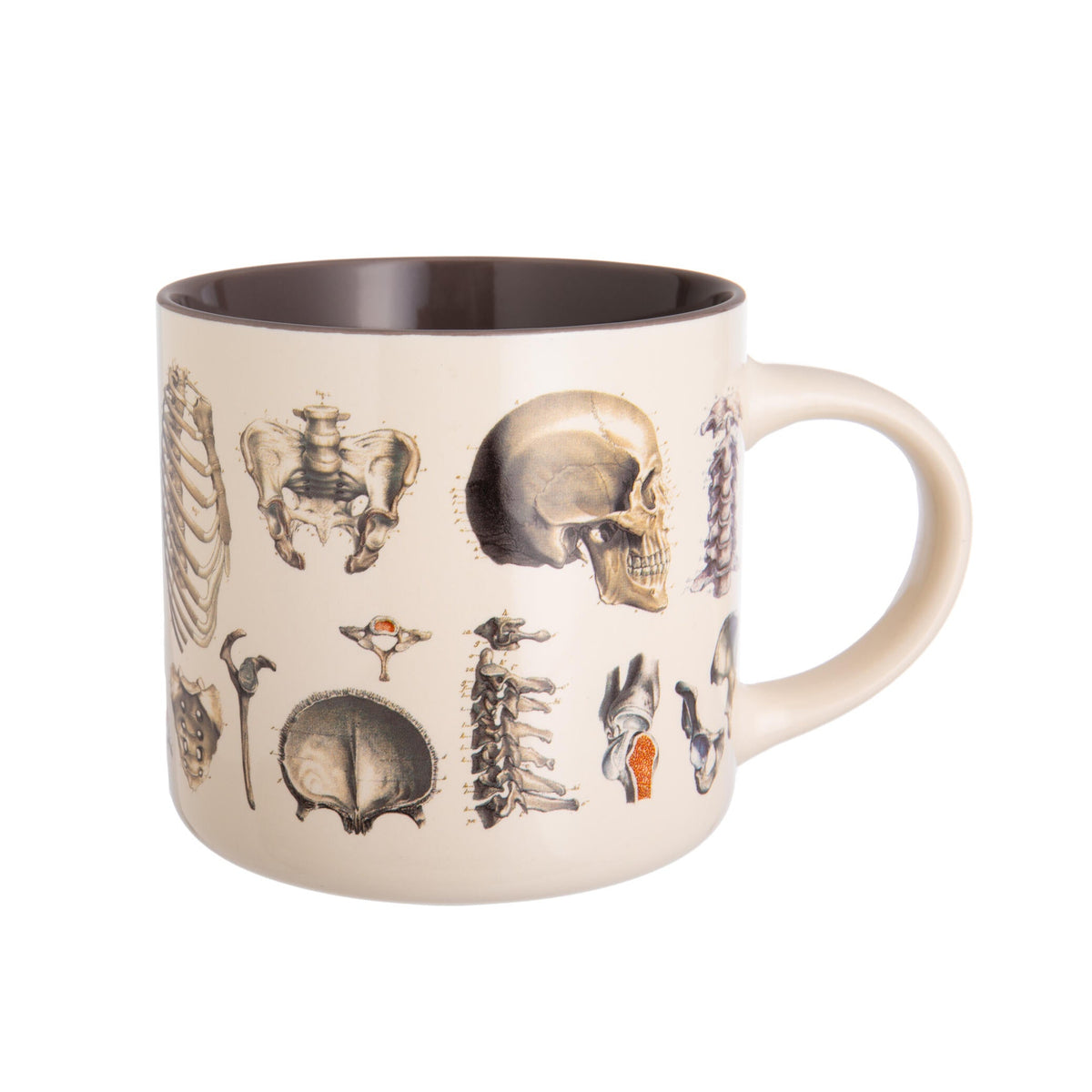 Mug with anatomical illustrations on a white background