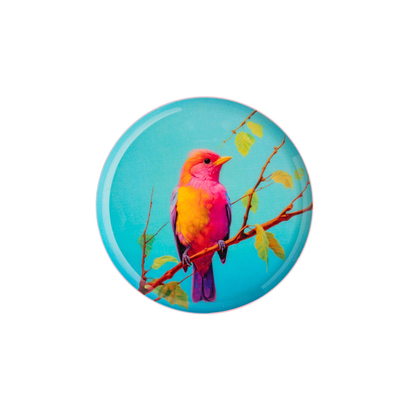 Round trinket tray featuring a colorful bird on a branch against a blue sky on a white background