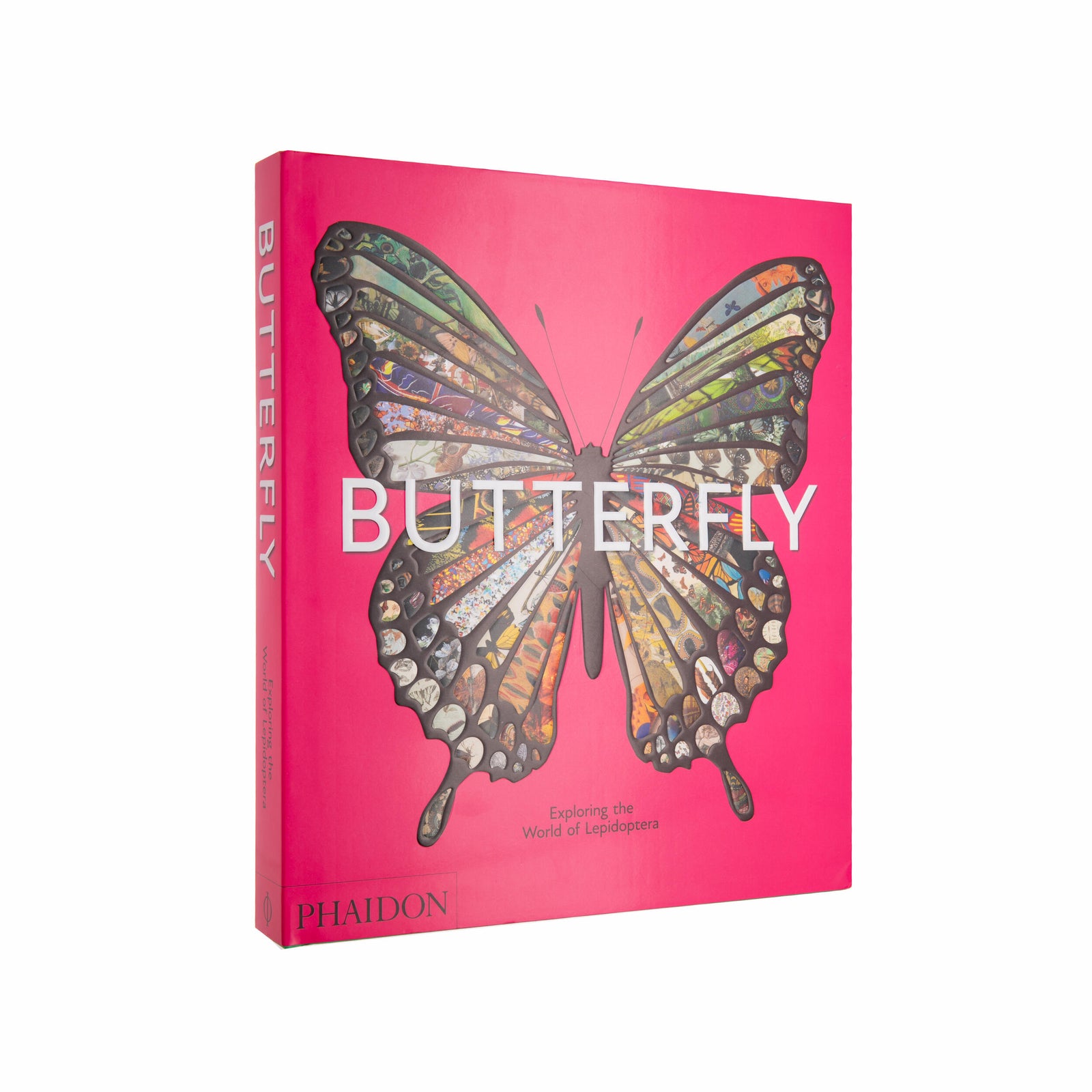 Book titled 'Butterfly' with a colorful butterfly illustration on a pink cover, published by Phaidon.