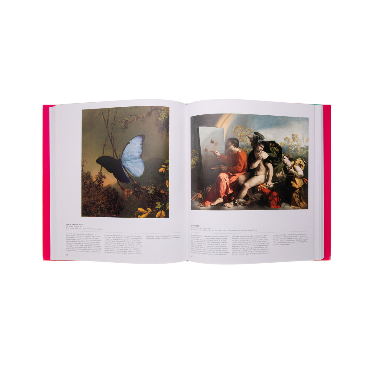 BUTTERFLY: EXPLORING THE WORLD OF LEPIDOPTERA