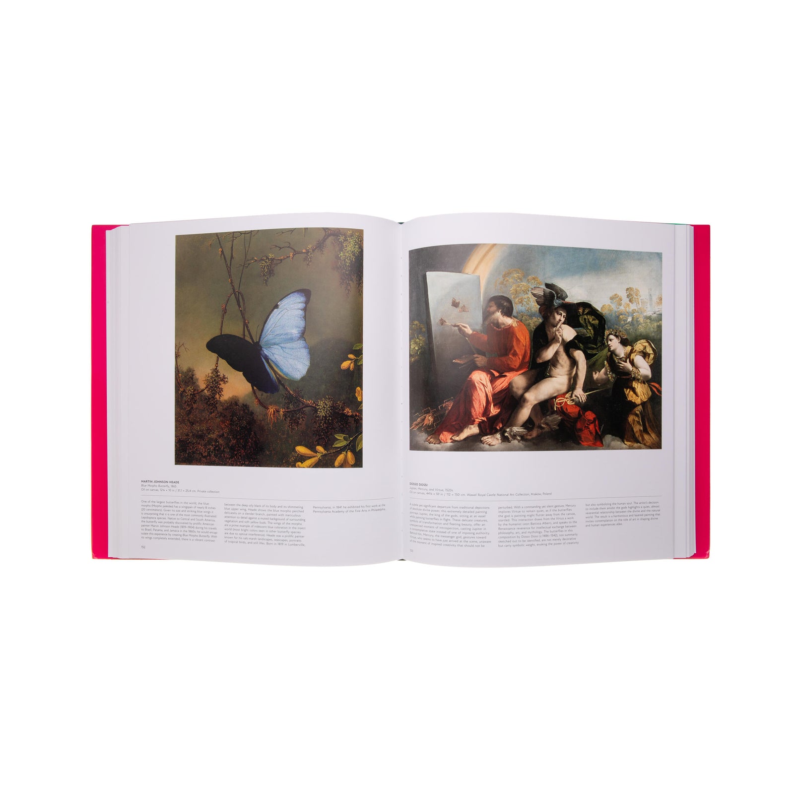 Book titled 'Butterfly' with a colorful butterfly illustration on a pink cover, published by Phaidon.