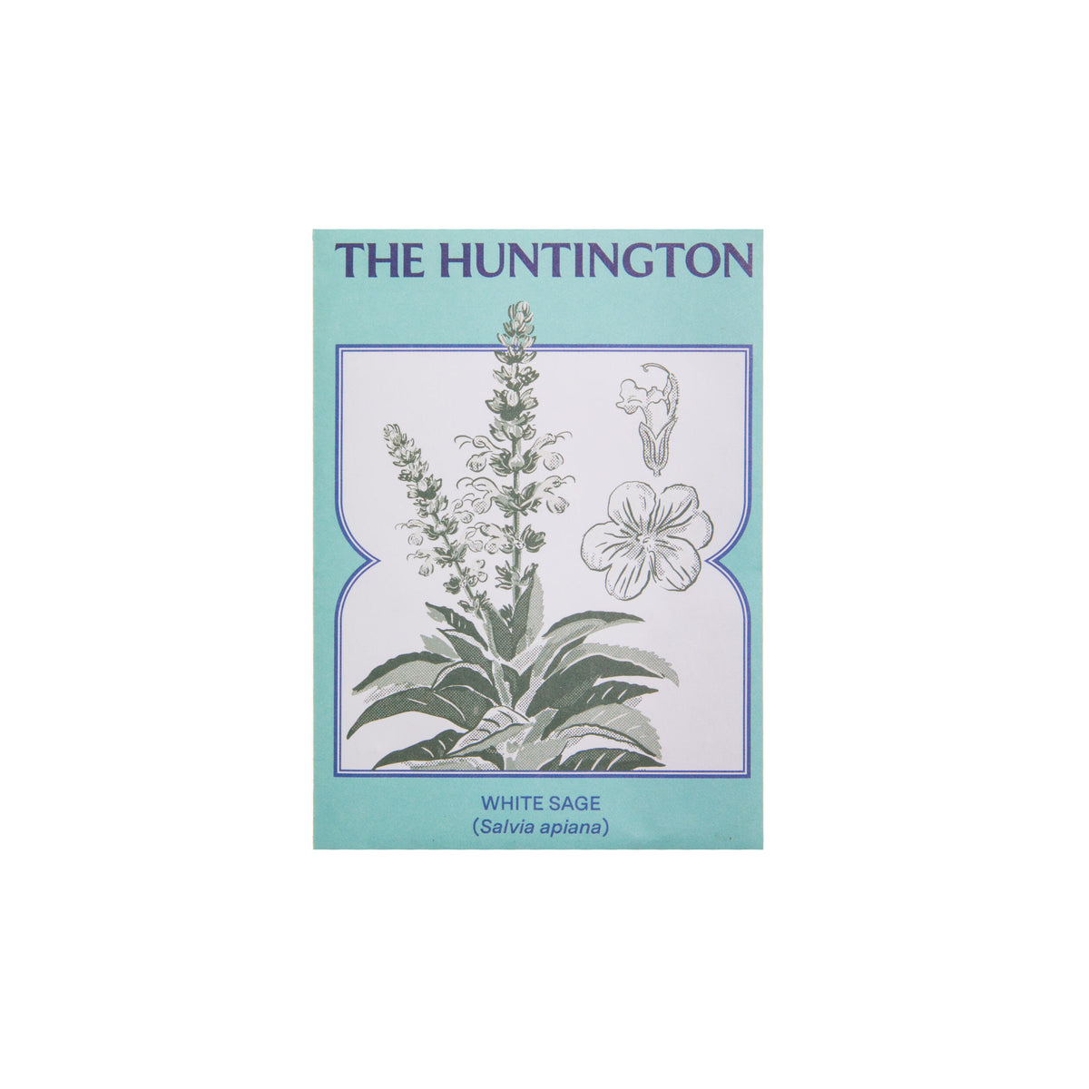 Seed packet with illustration of white sage and &#39;The Huntington&#39; branding on a light blue background.