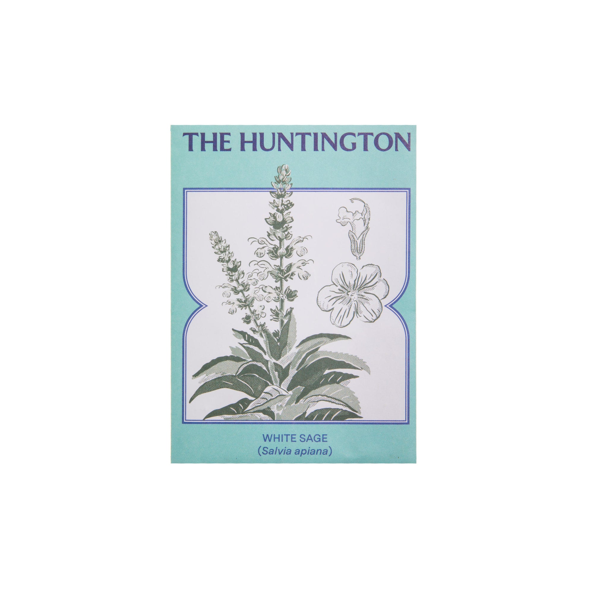 Seed packet with illustration of white sage and 'The Huntington' branding on a light blue background.